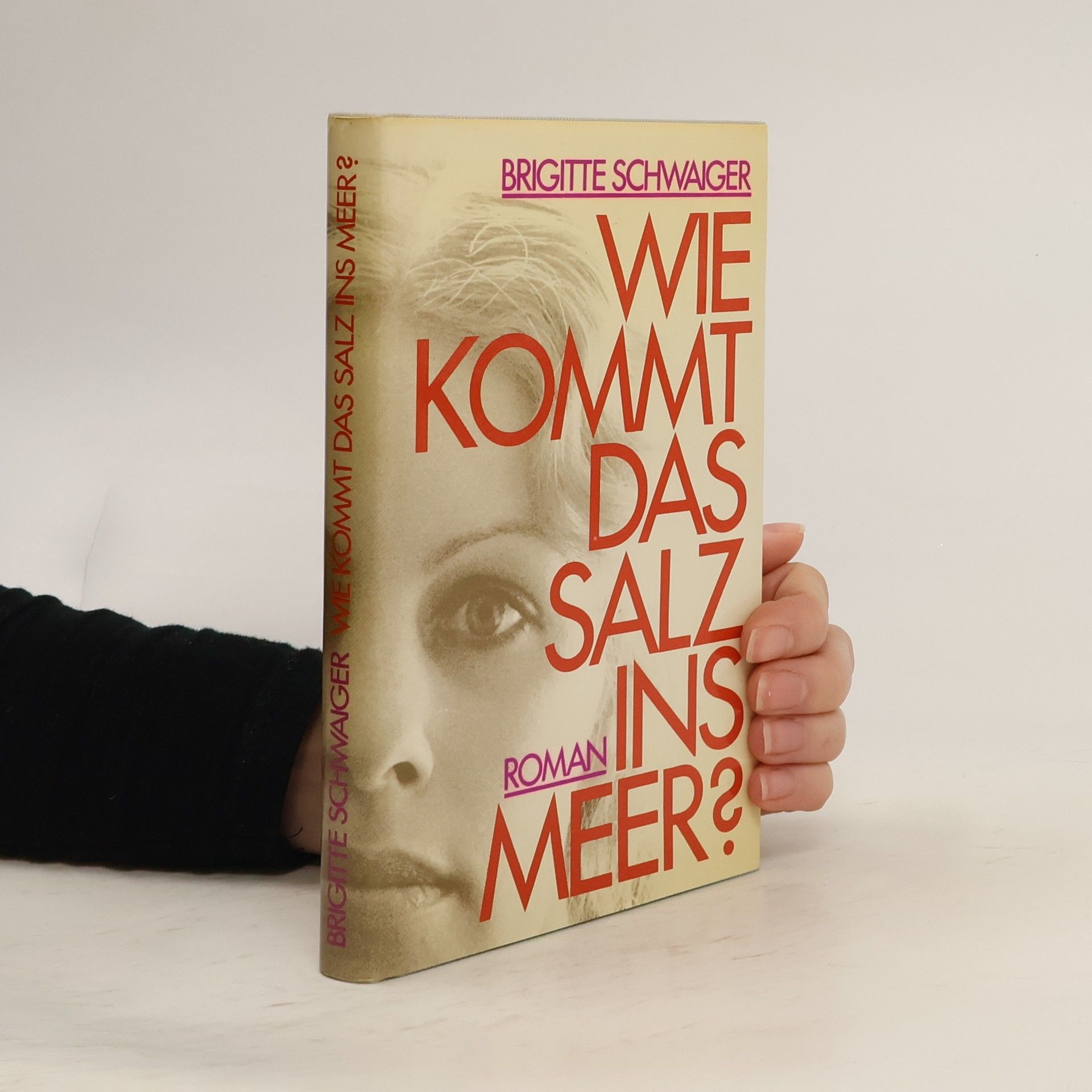 Wie kommt das Salz ins Meer?