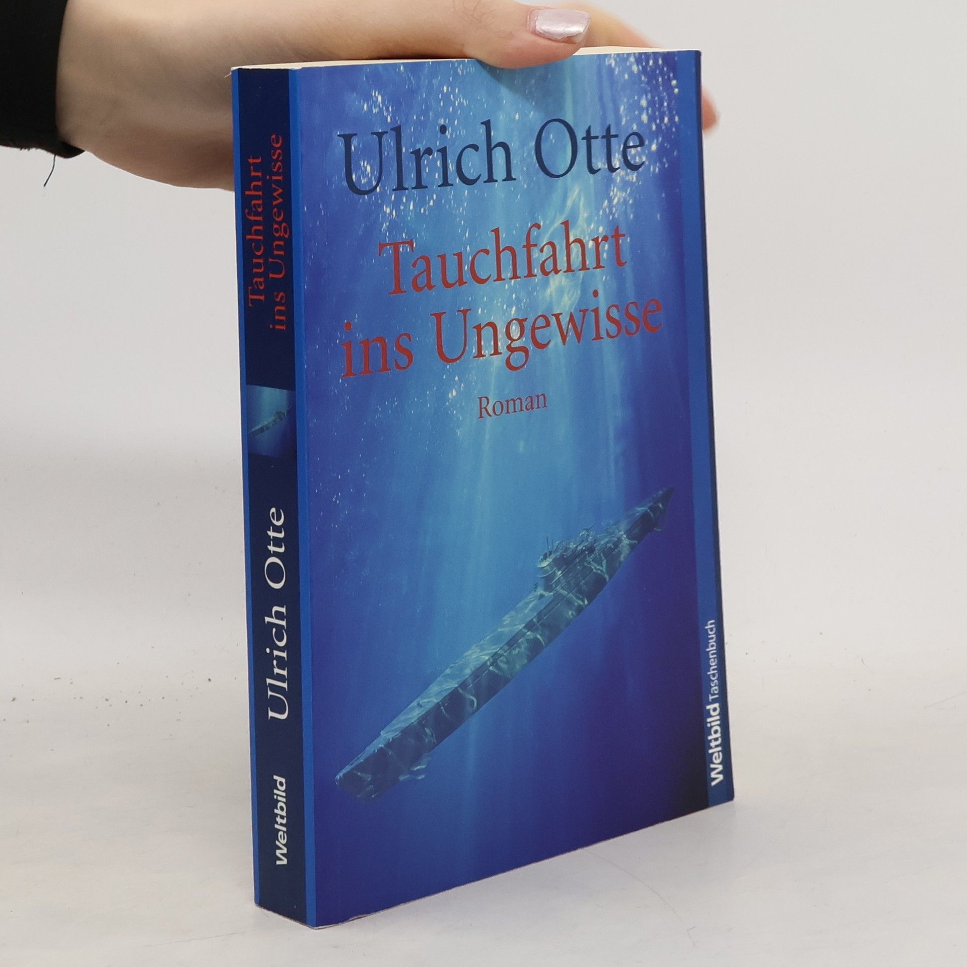 Ulrich Otte Tauchfahrt ins Ungewisse