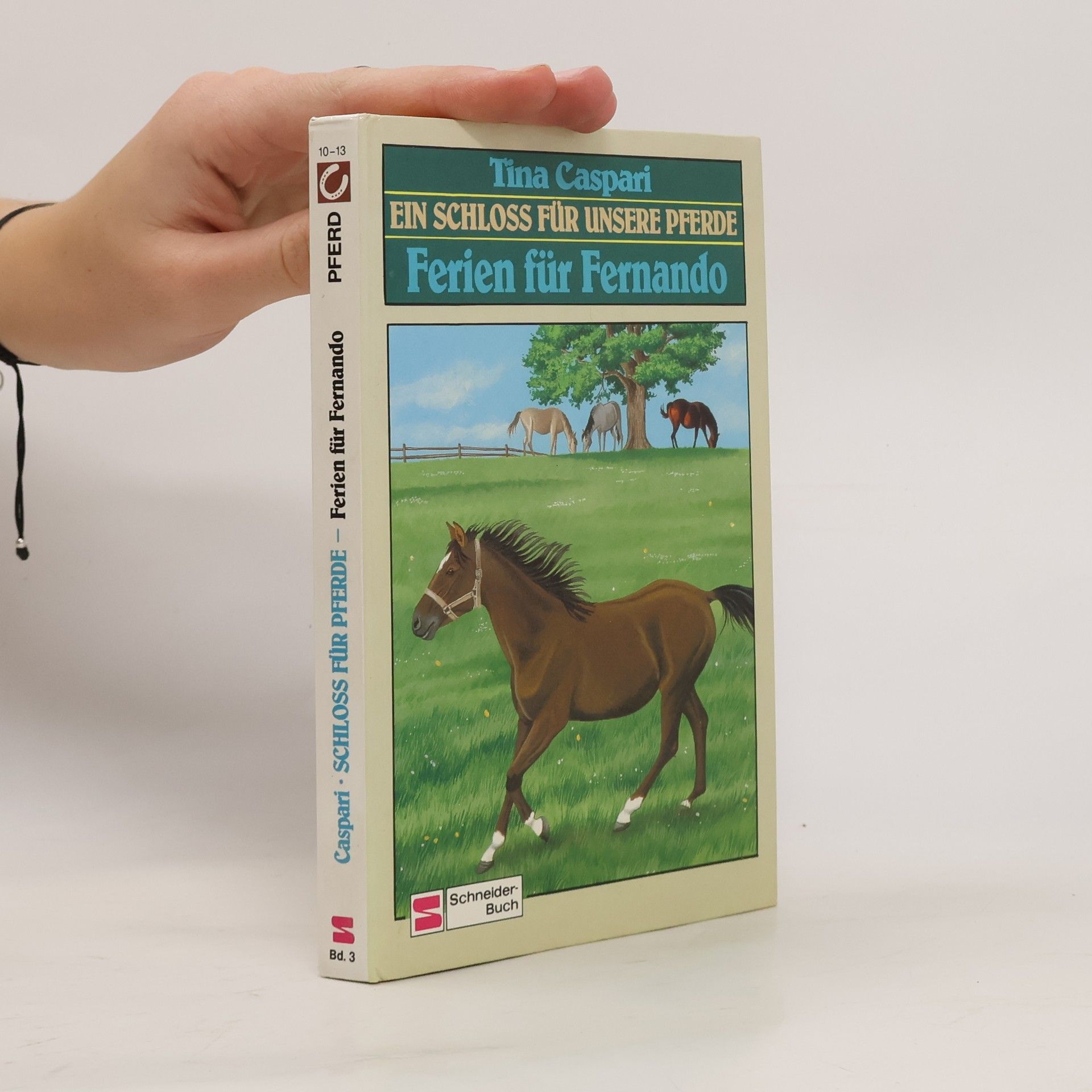 Tina Caspari Ein Schloss für unsere Pferde. Ferien für Fernando