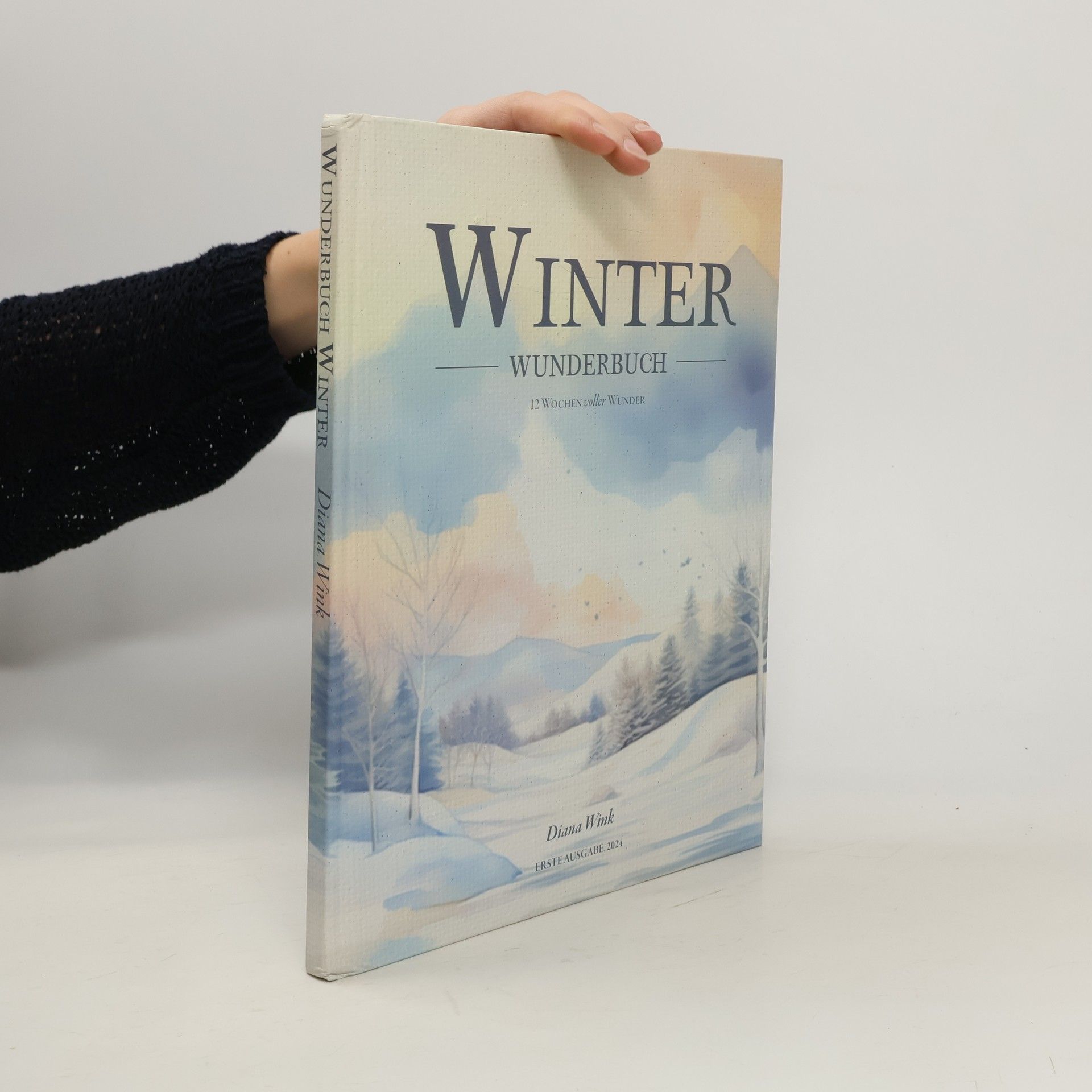 Diana Wink Winter Wunderbuch