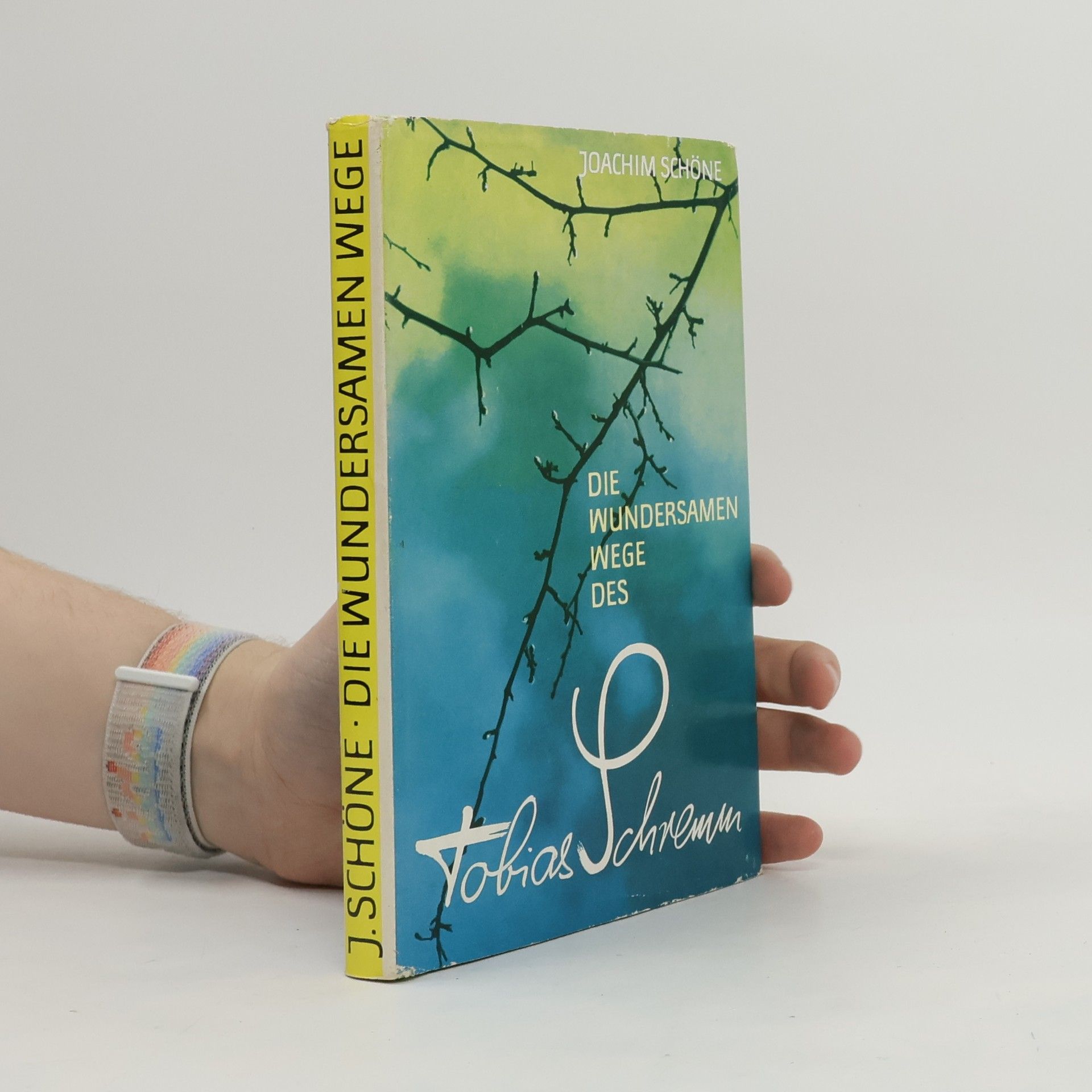 Die wundersamen Wege des Tobias Schremm