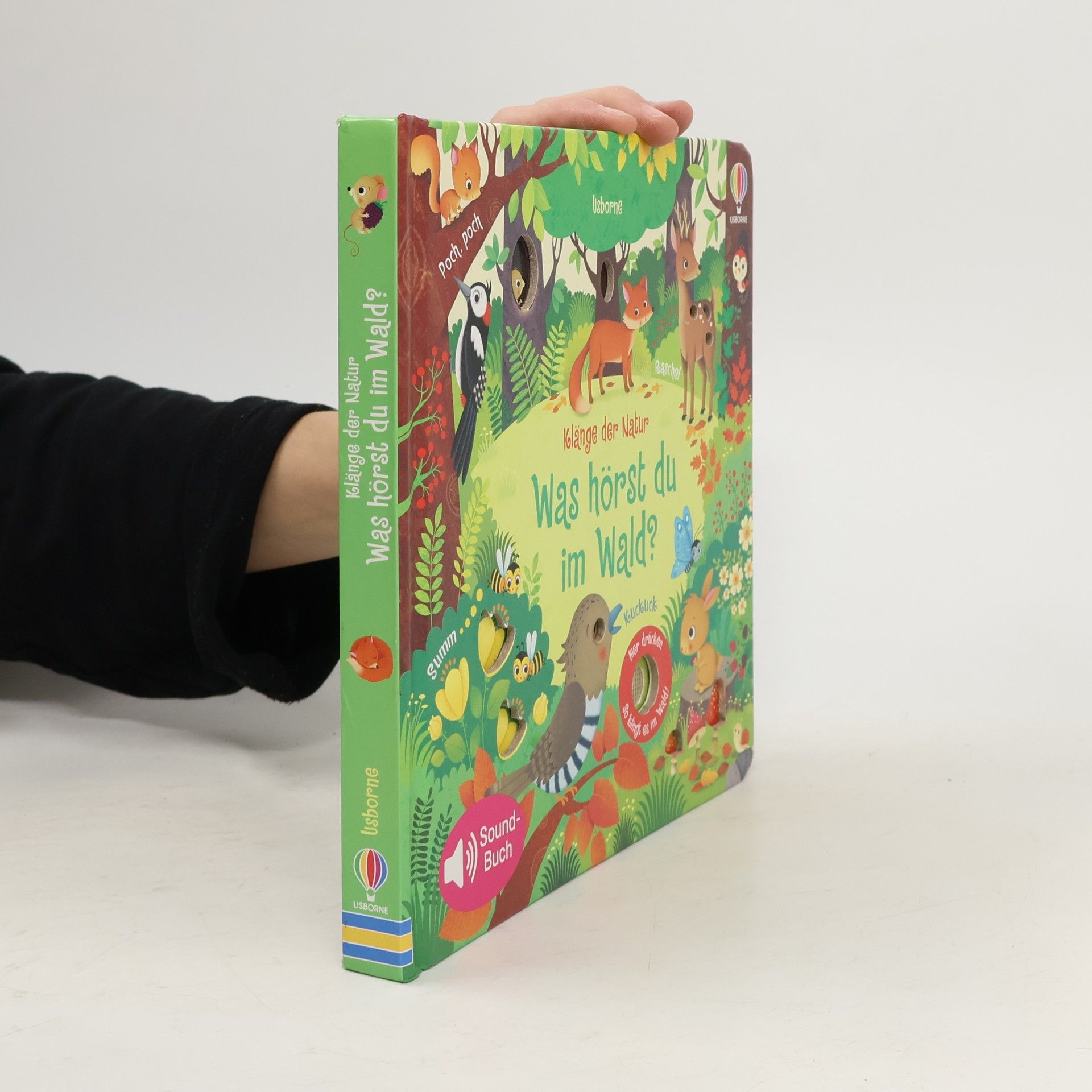 Sam Taplin Klänge der Natur - was hörst du im Wald?