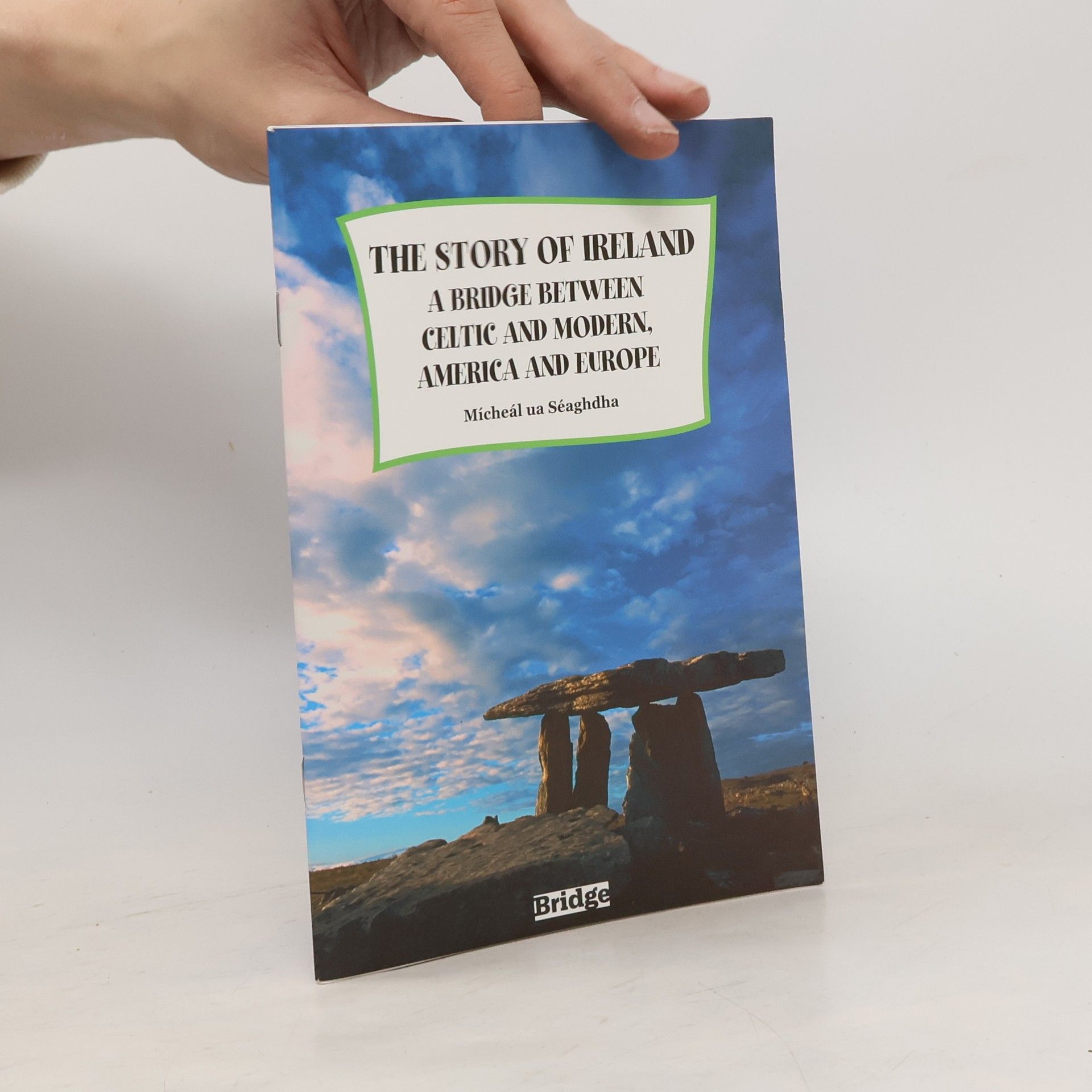 Mícheál Ua Séaghdha The Story of Ireland a Bridge Between Celtic and Modern America and Europe