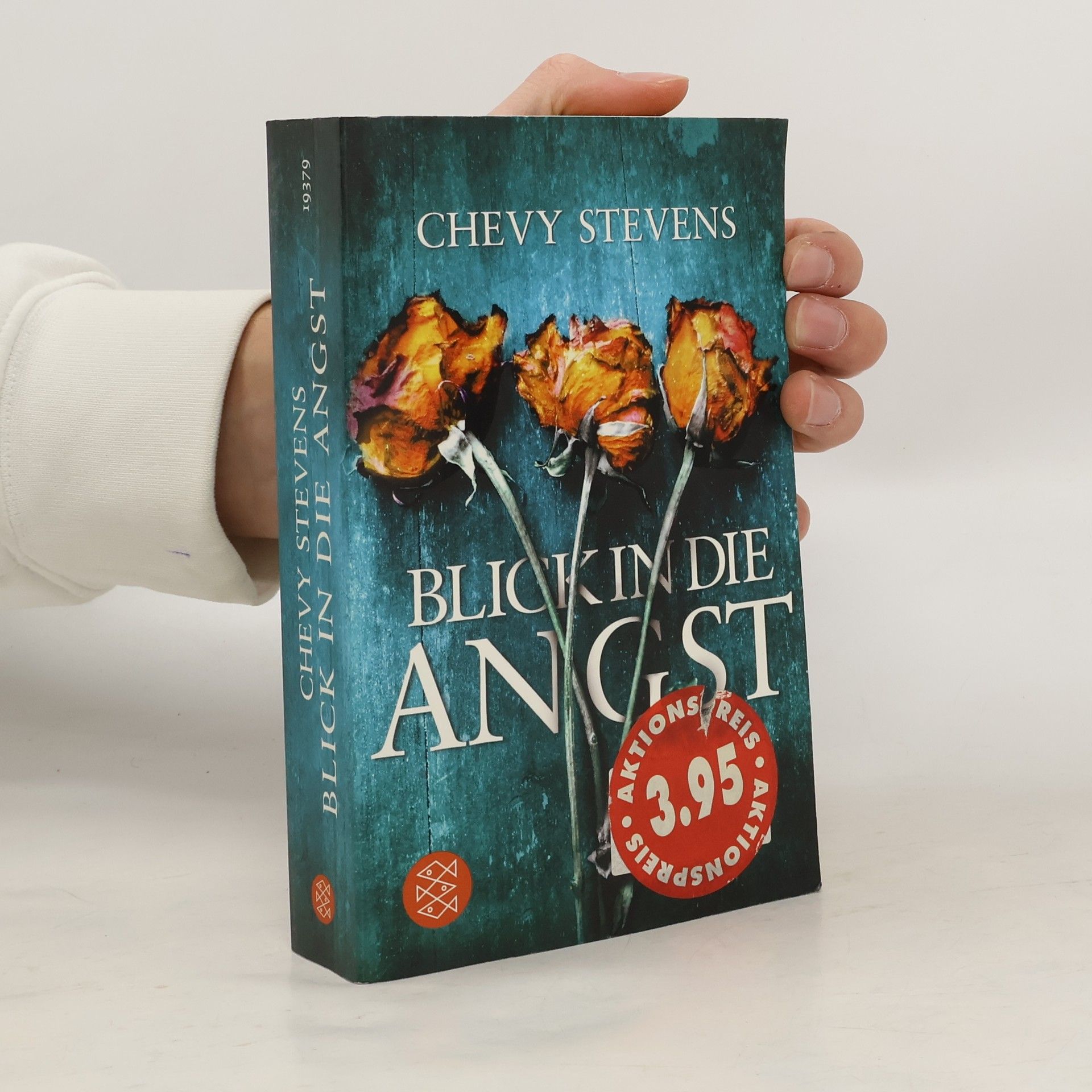 Chevy Stevens Blick in die Angst