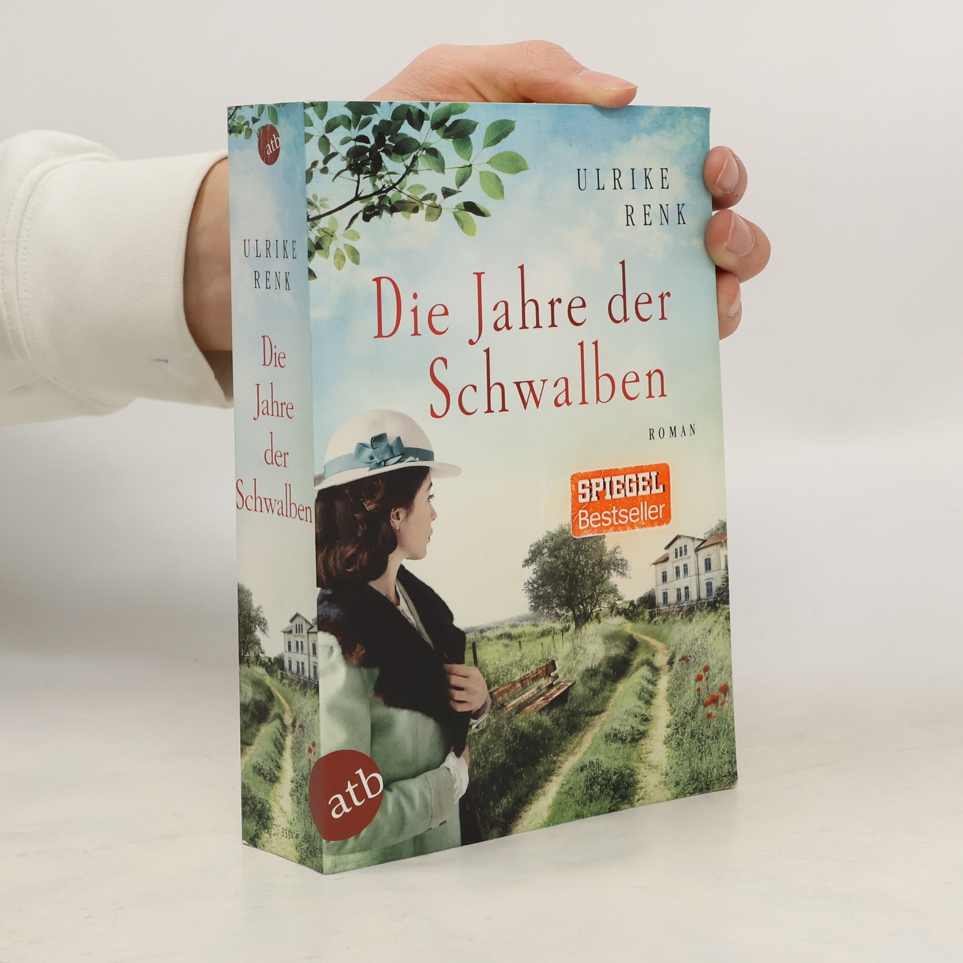 Ulrike Renk Die Jahre der Schwalben