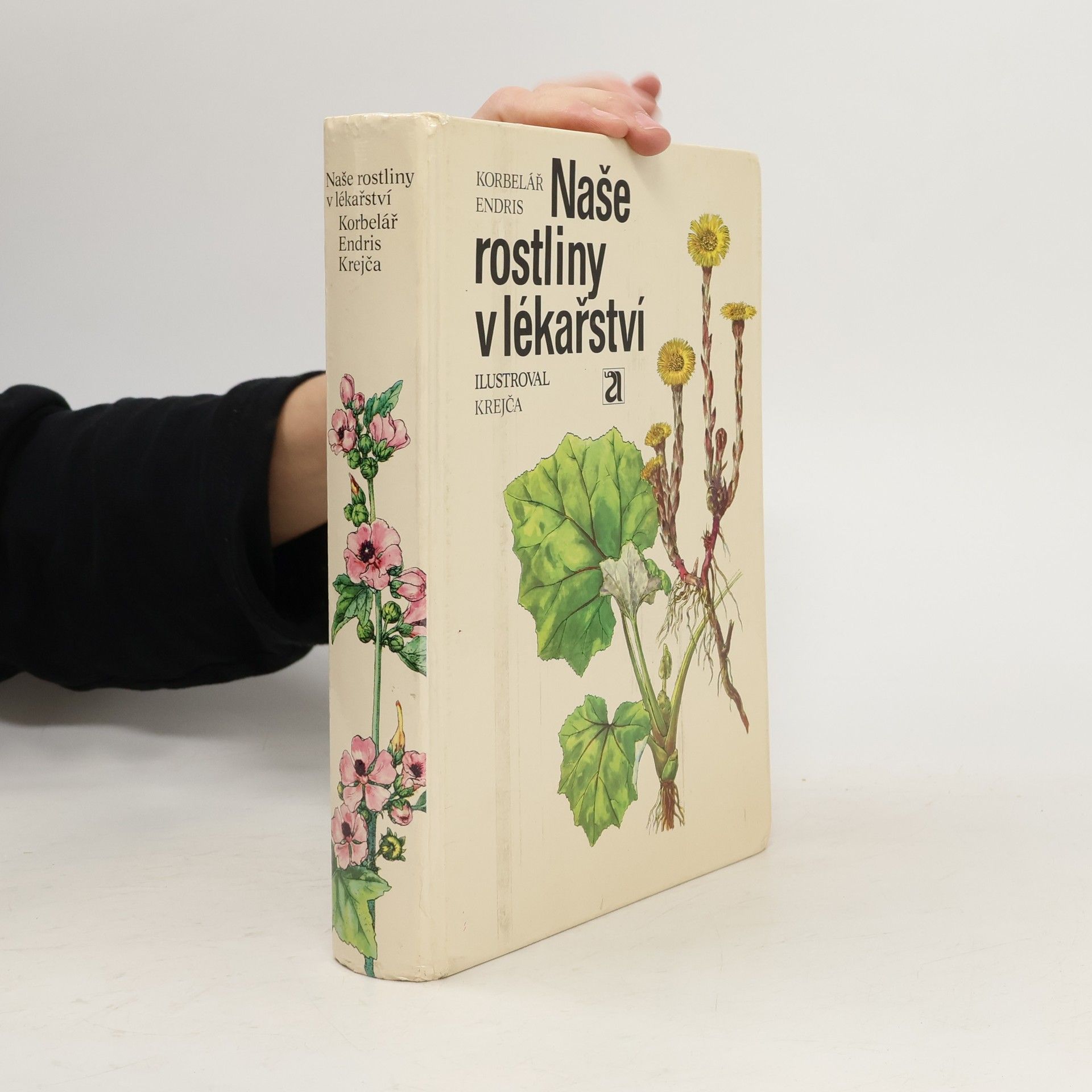 Jaroslav Korbelář Naše rostliny v lékařství