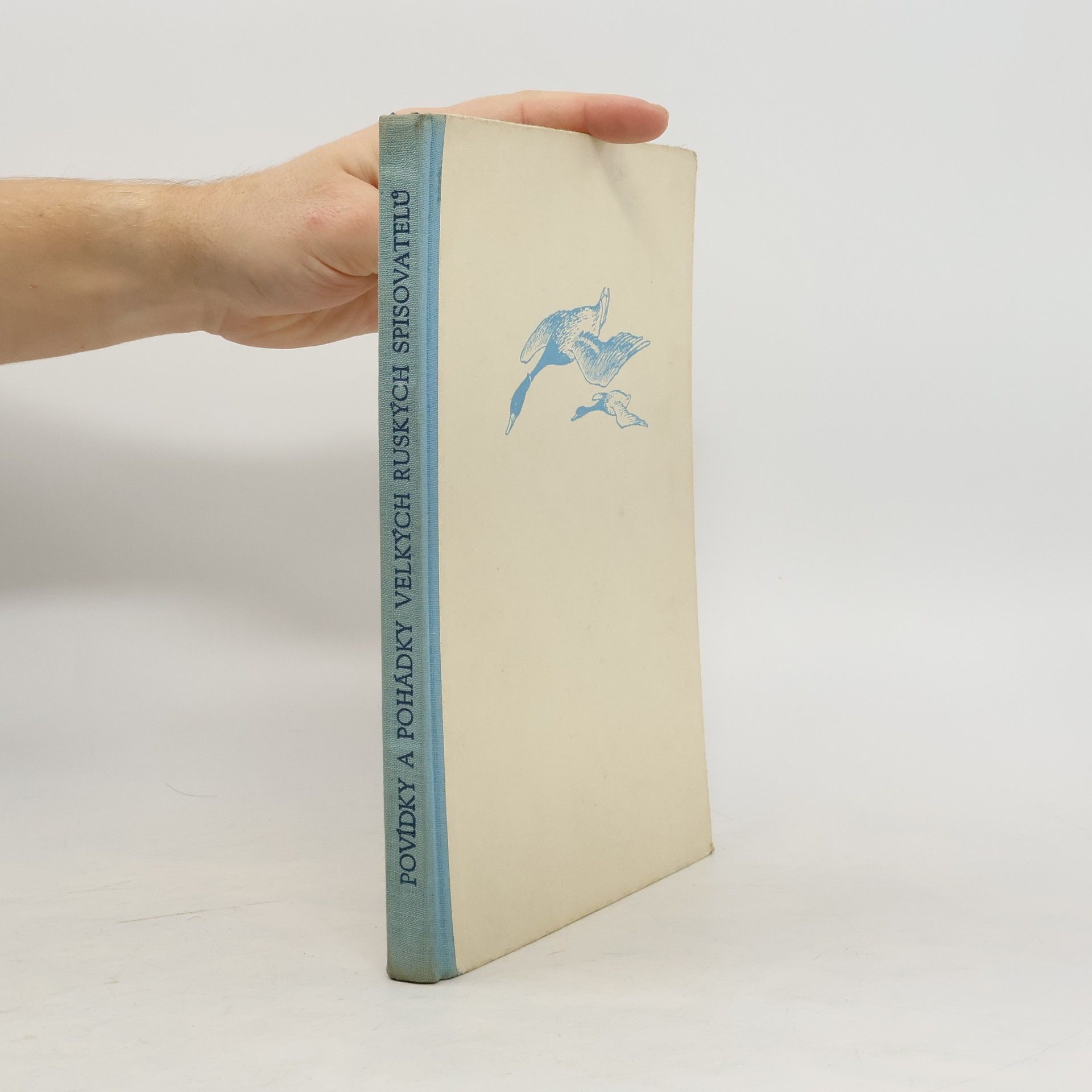 Kolektiv autorů Povídky a pohádky velkých ruských spisovatelů