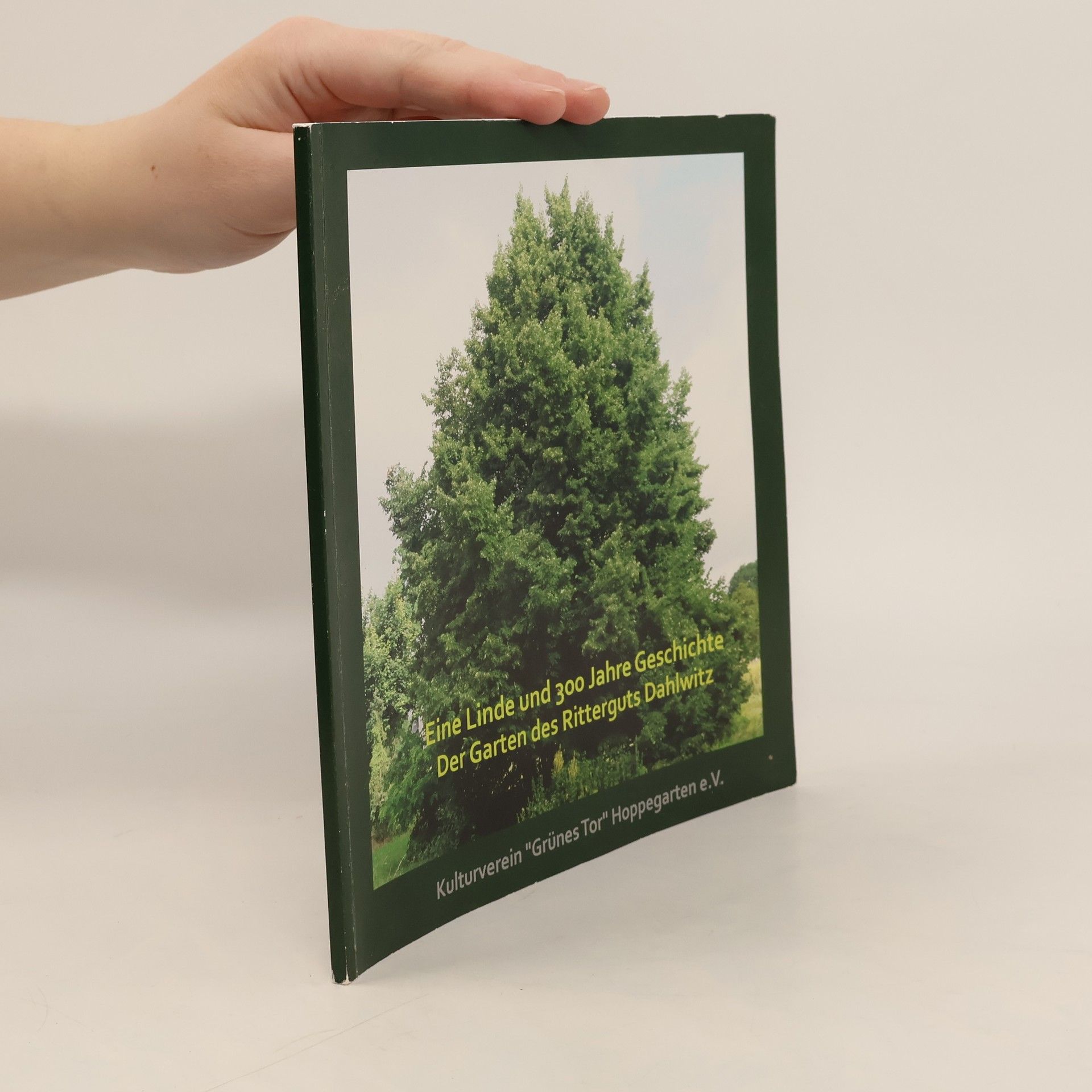 Astrid Fritsche Eine Linde und 300 Jahre Geschichte