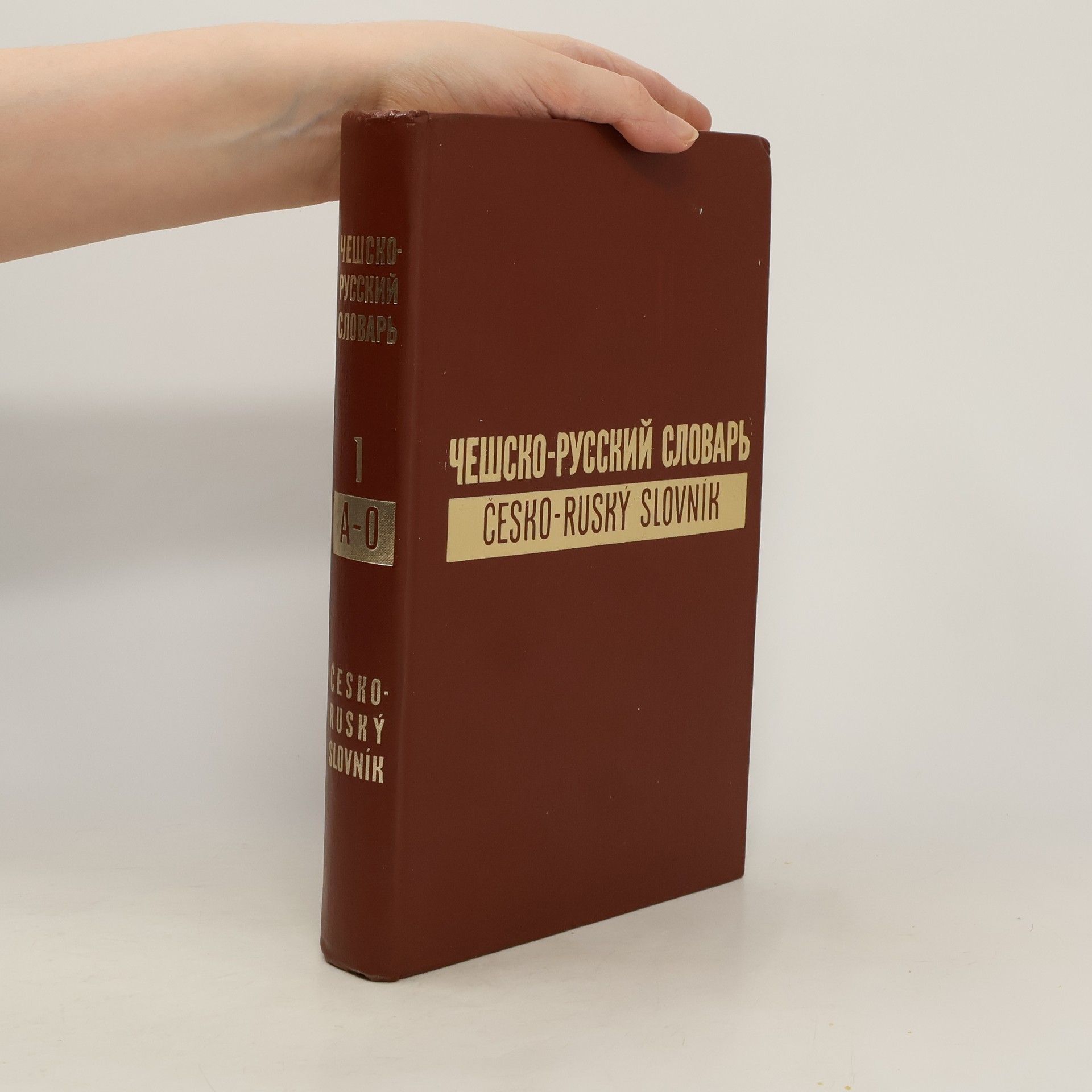Auteurscollectief Чешско-русский словарь 1. A-O. Česko-ruský slovník 1. A-O