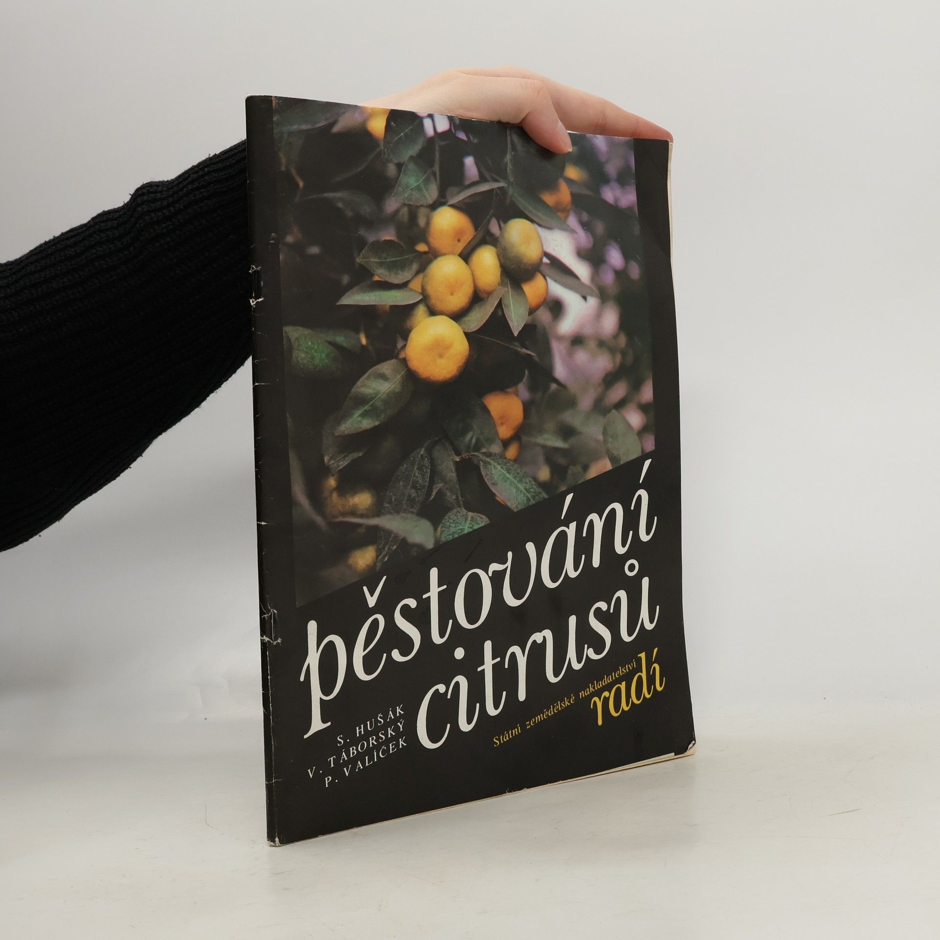 Stanislav Hušák Pěstování citrusů