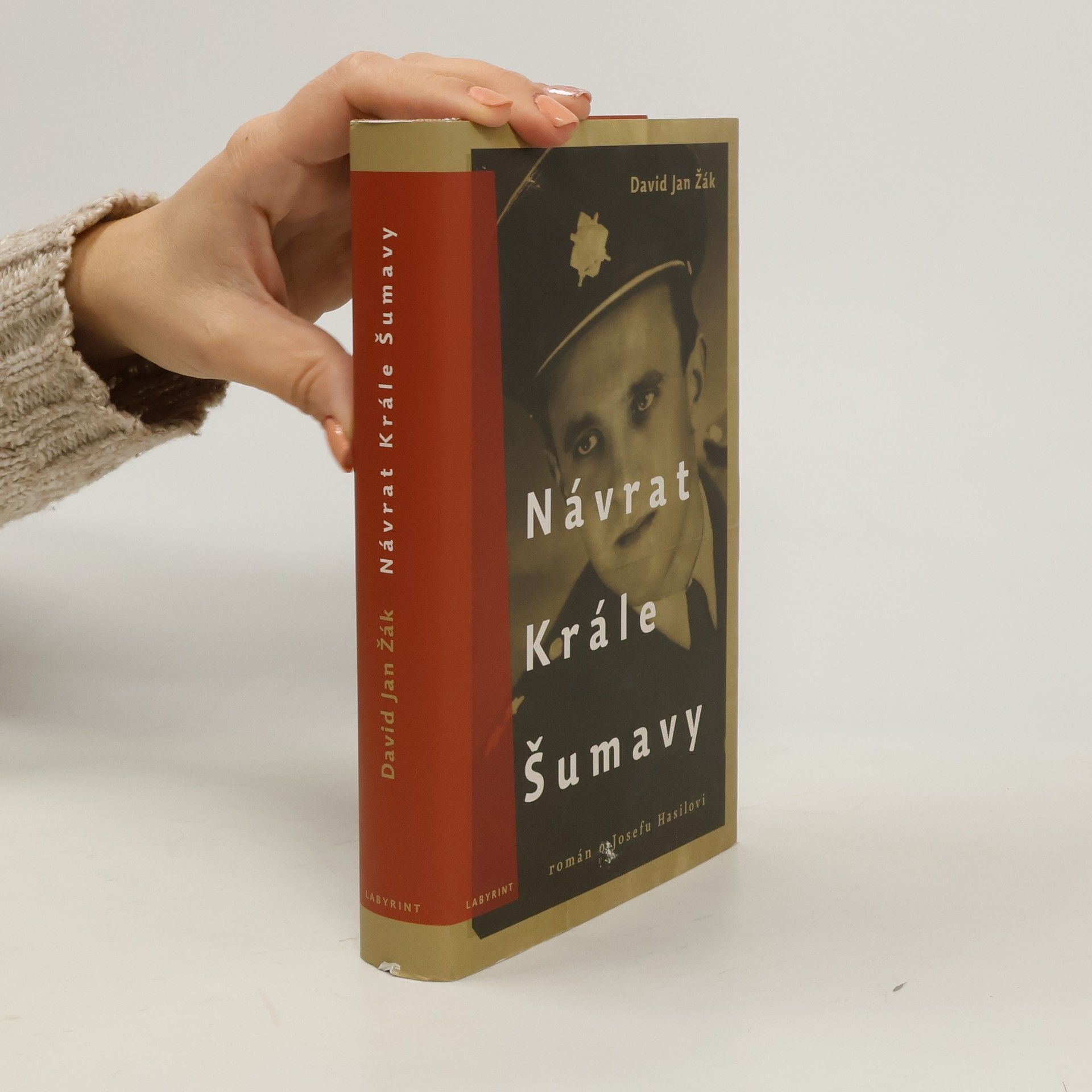 David Jan Žák Návrat Krále Šumavy