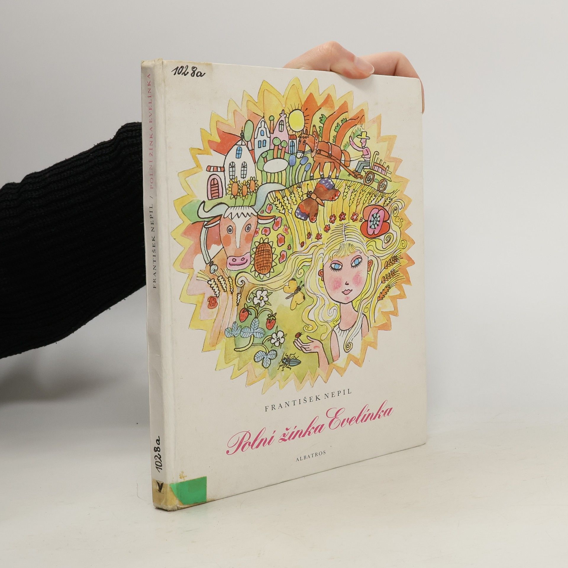 Polní žínka Evelínka