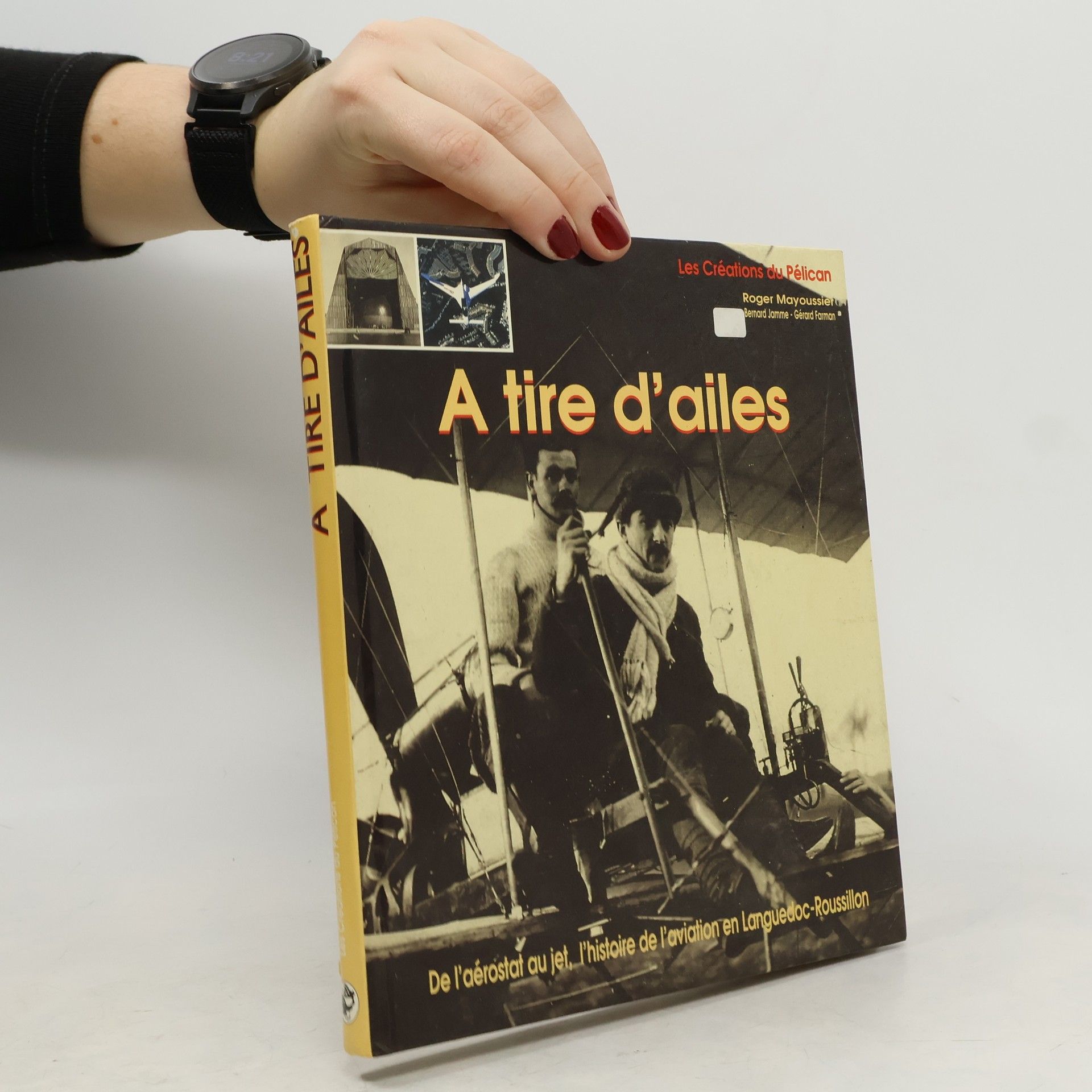 À tire d'ailes