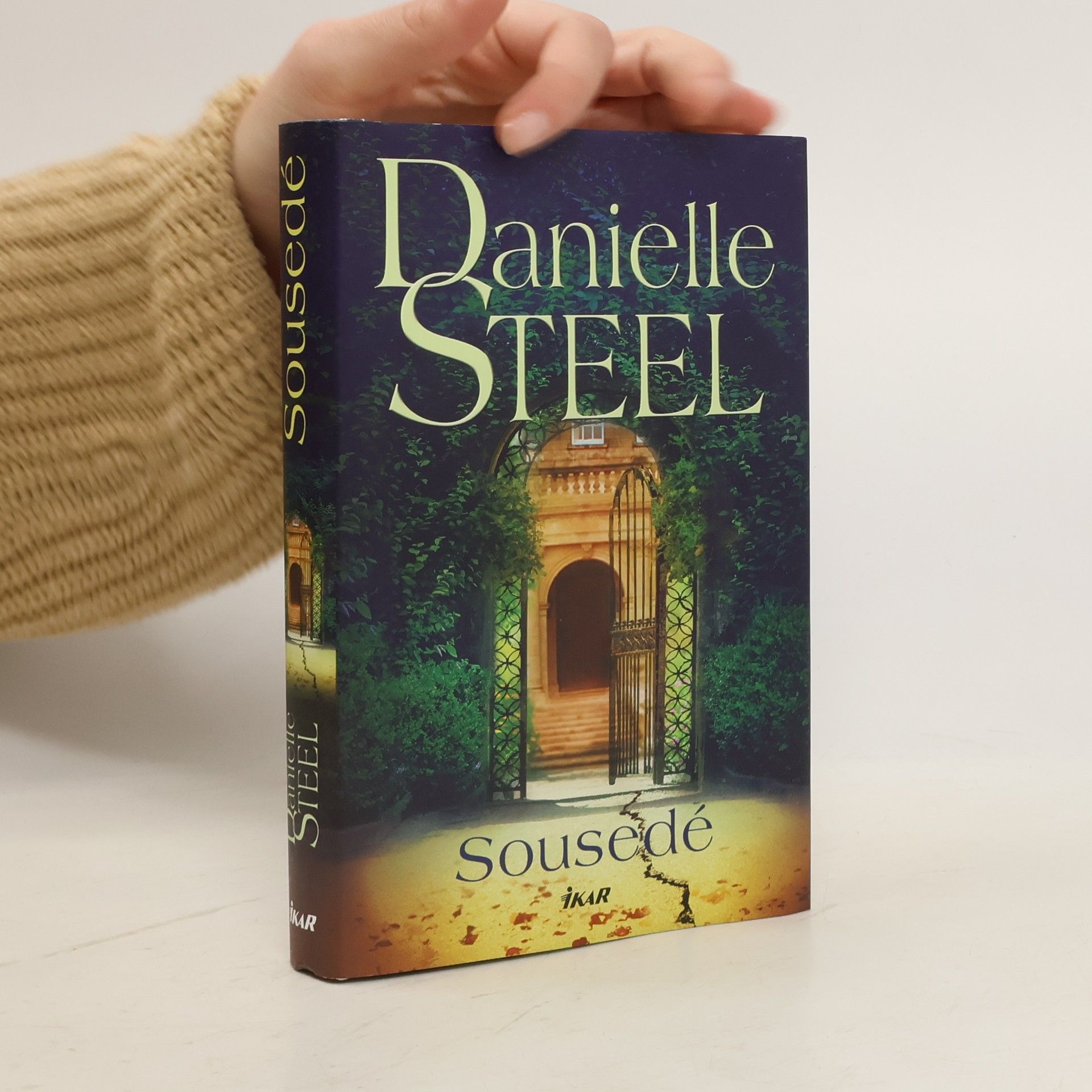 Danielle Steelová Sousedé