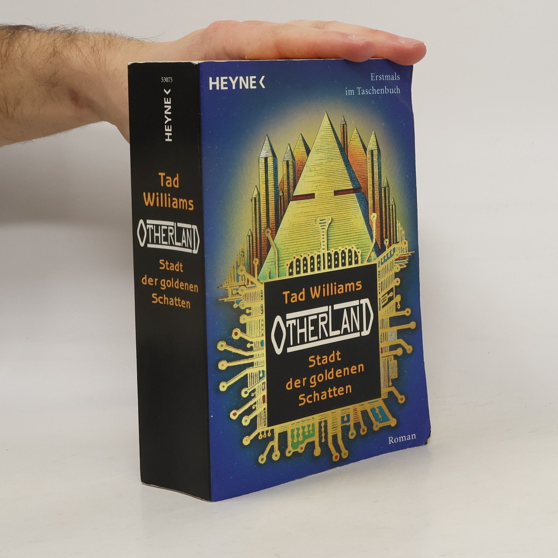 Tad Williams Otherland 1