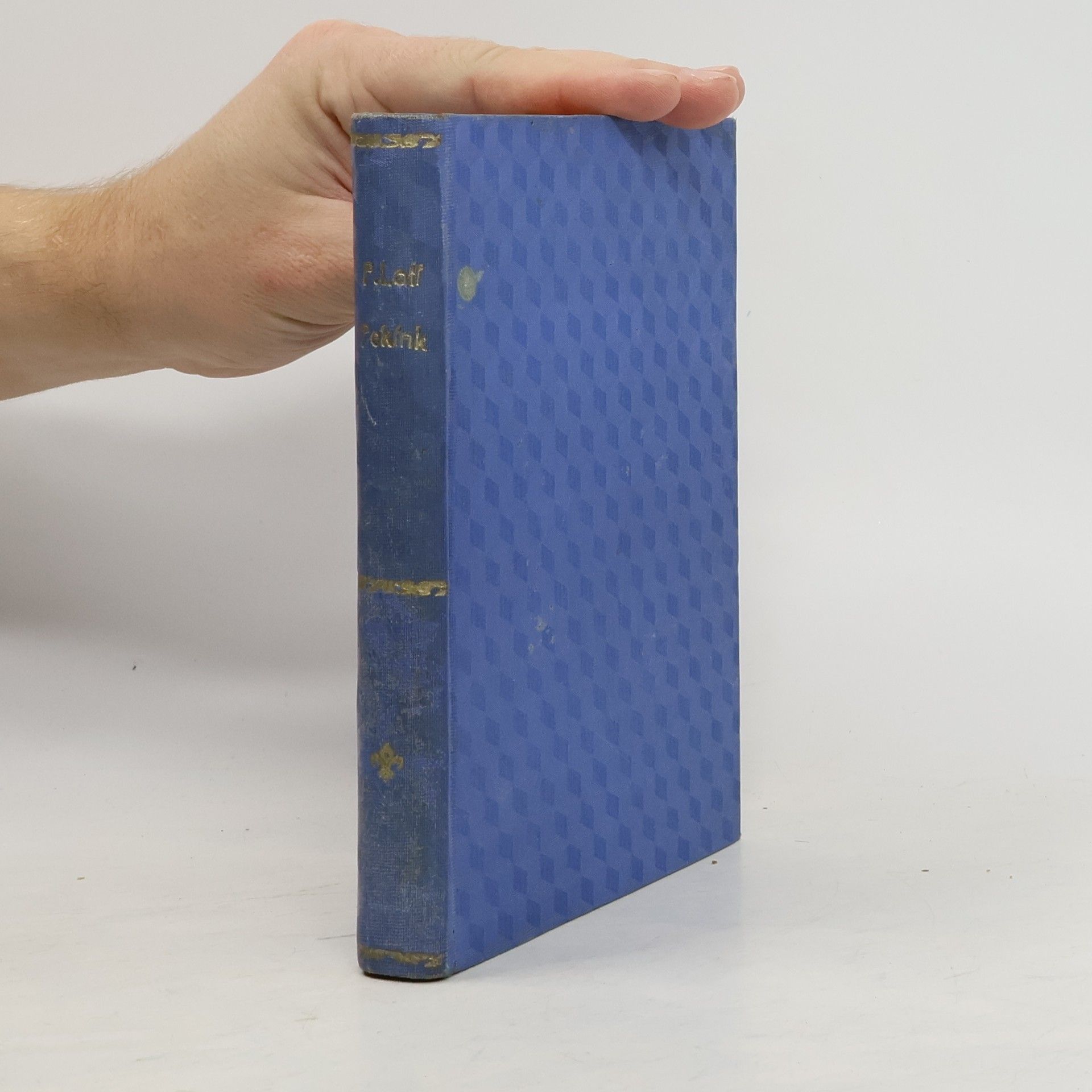 Poslední dni Pekingu