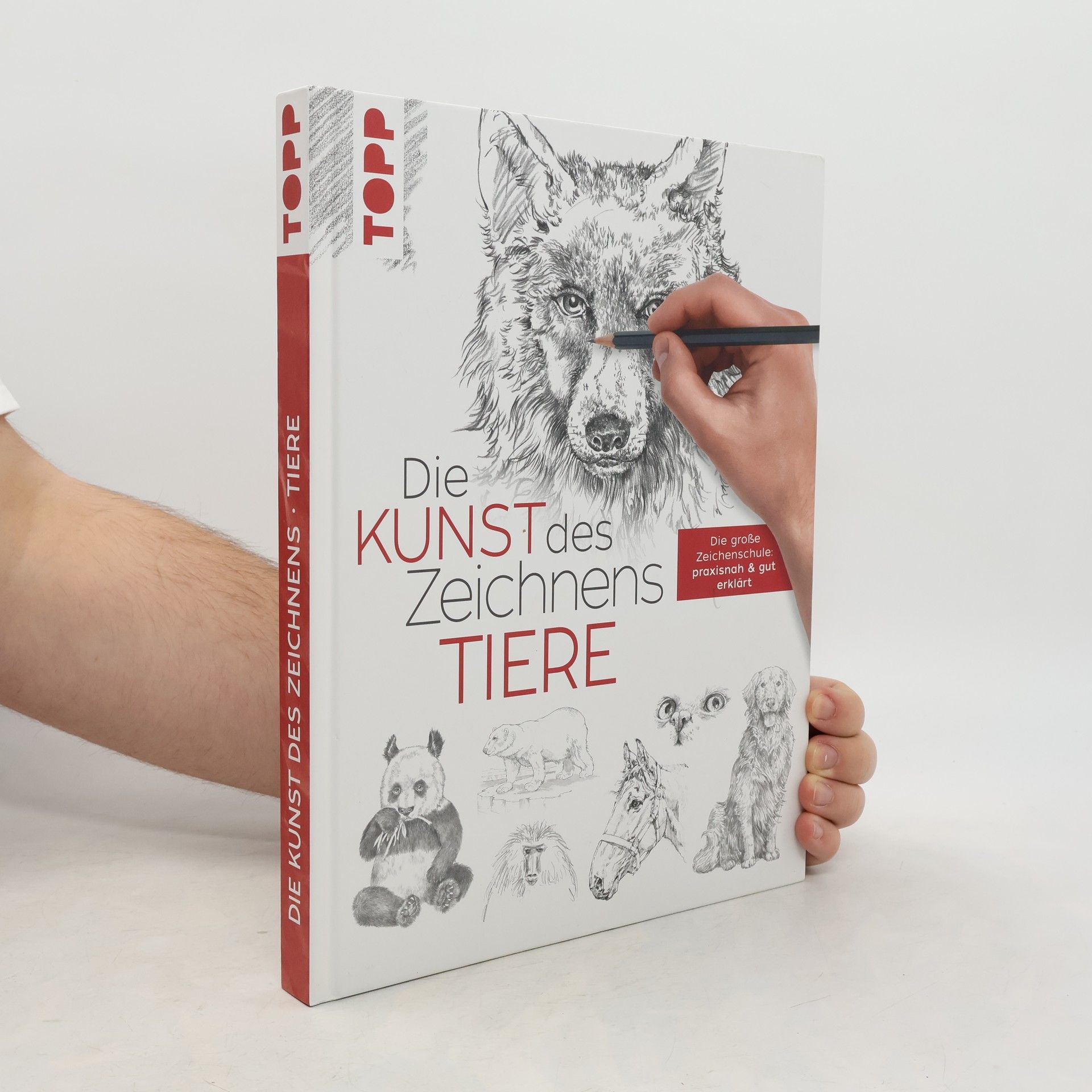 Frechverlag Die Kunst des Zeichnens - Tiere