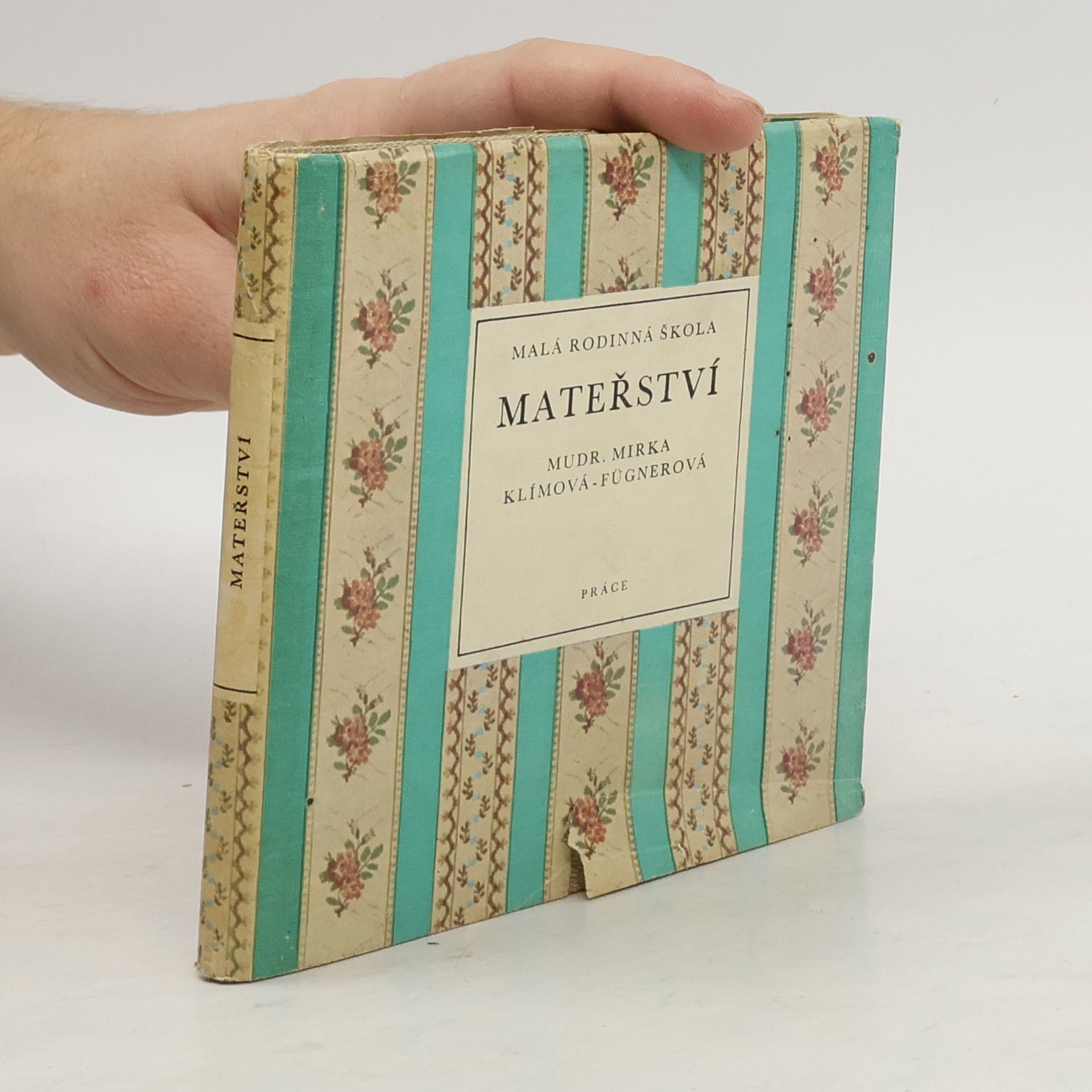 Malá rodinná škola mateřství