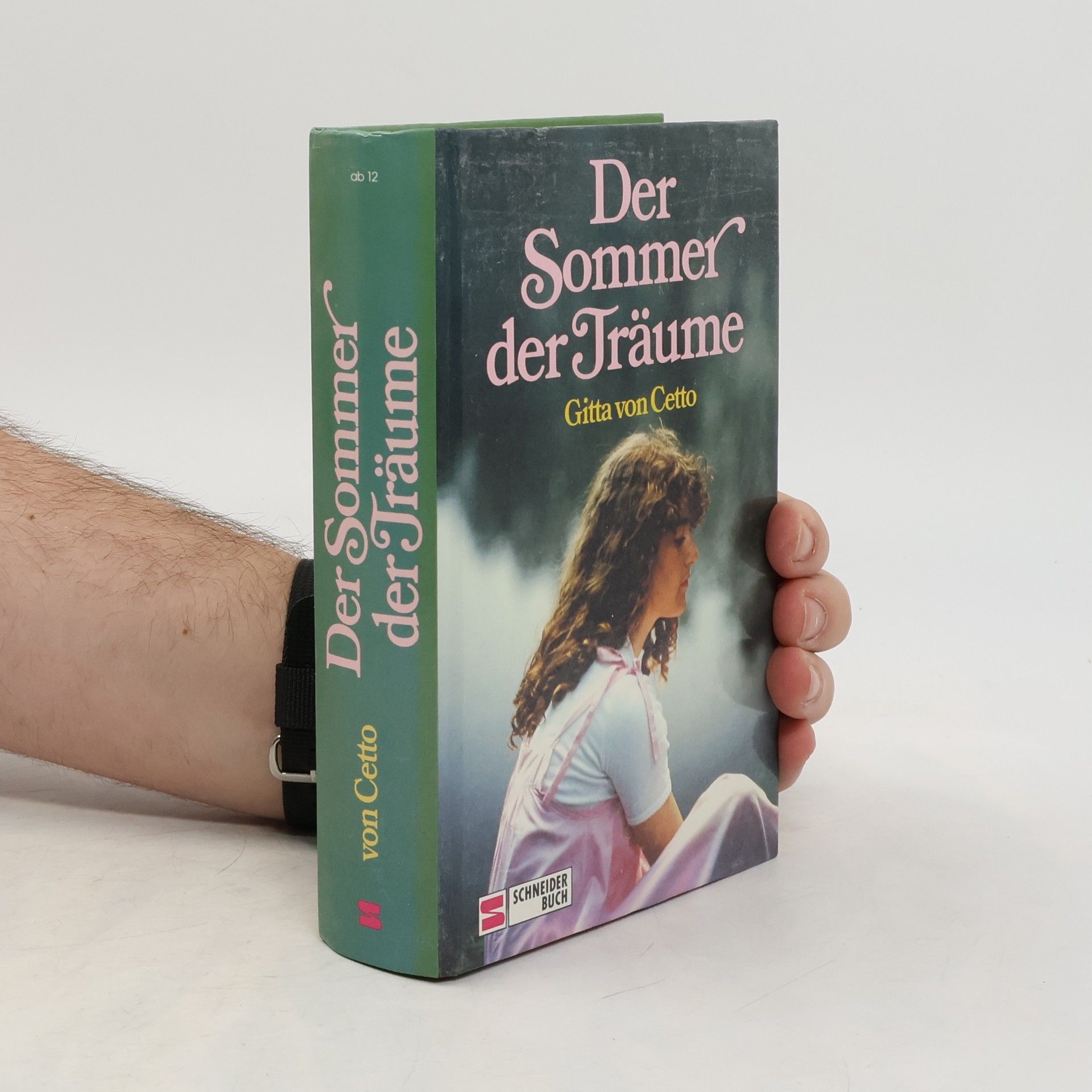 Der Sommer der Träume