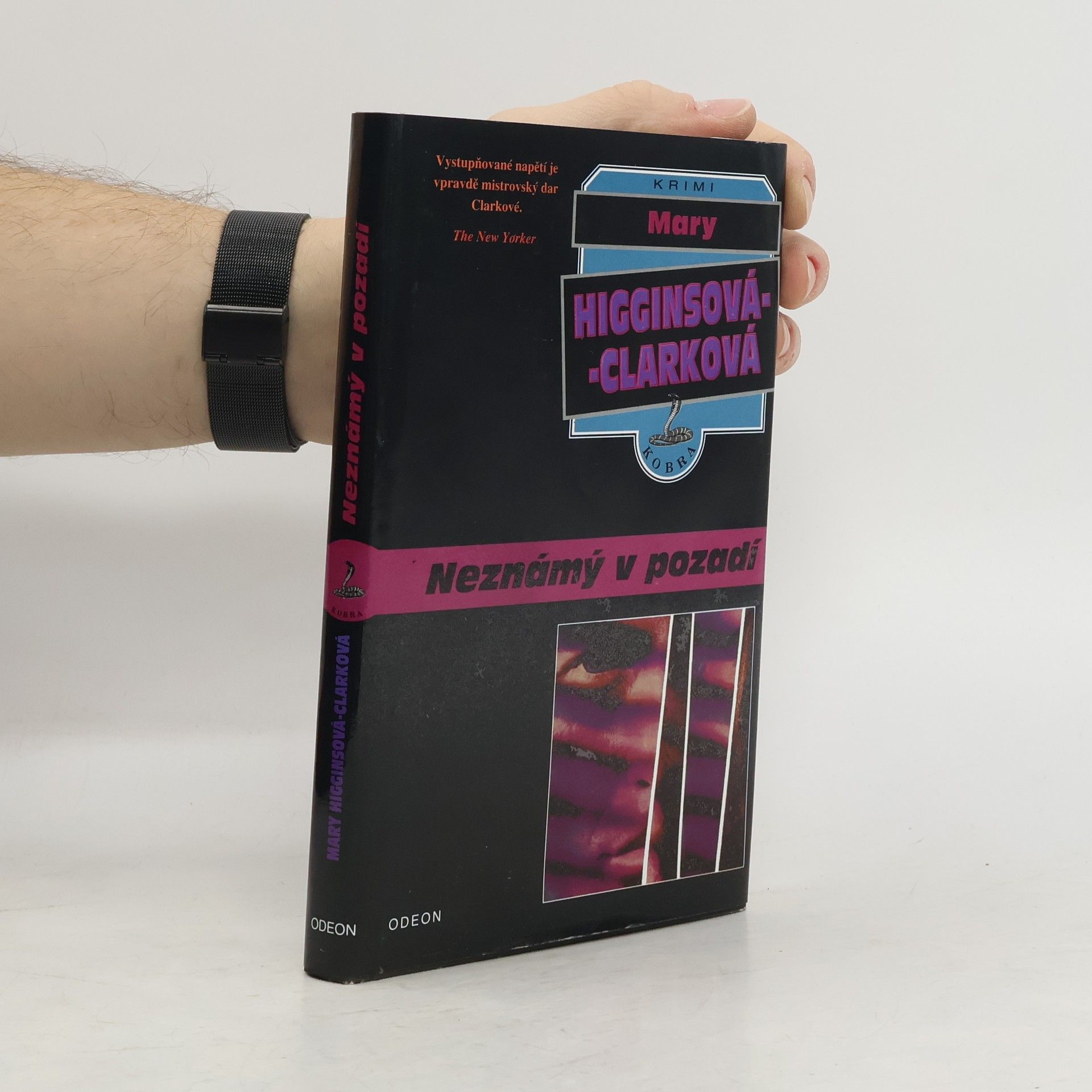 Mary Higgins Clark Neznámý v pozadí