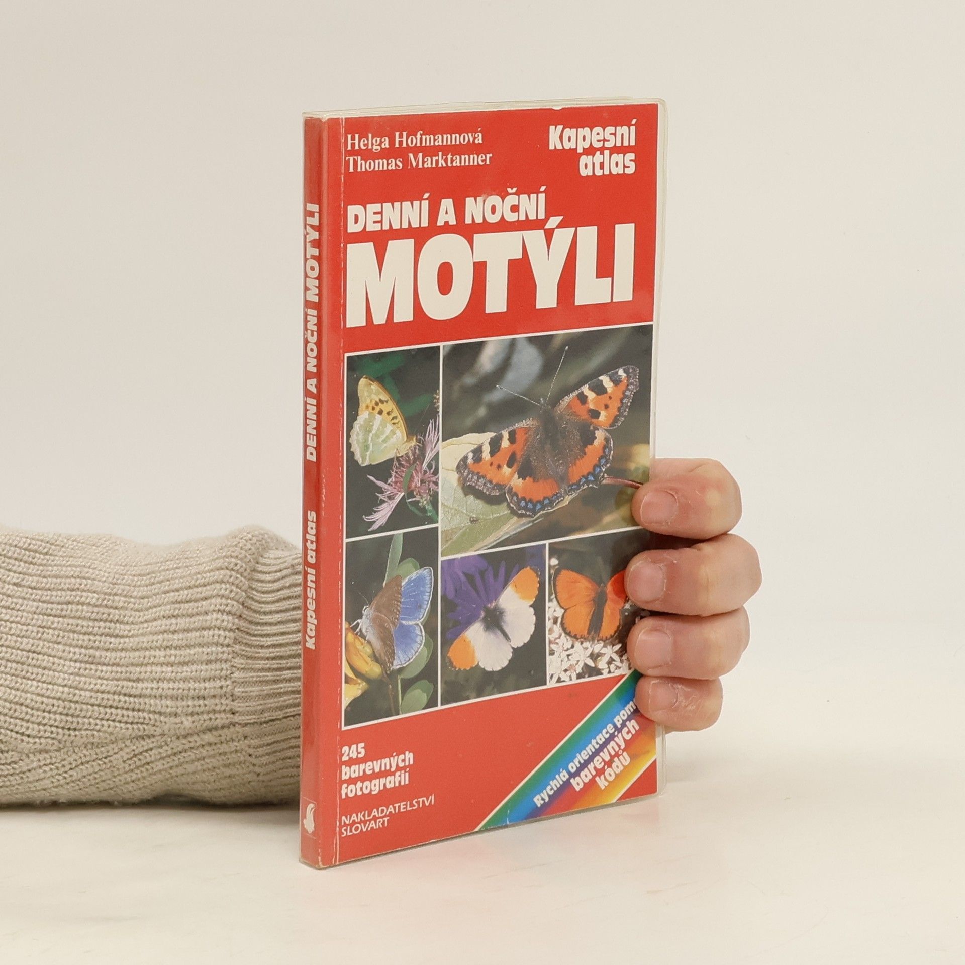 Denní a noční motýli