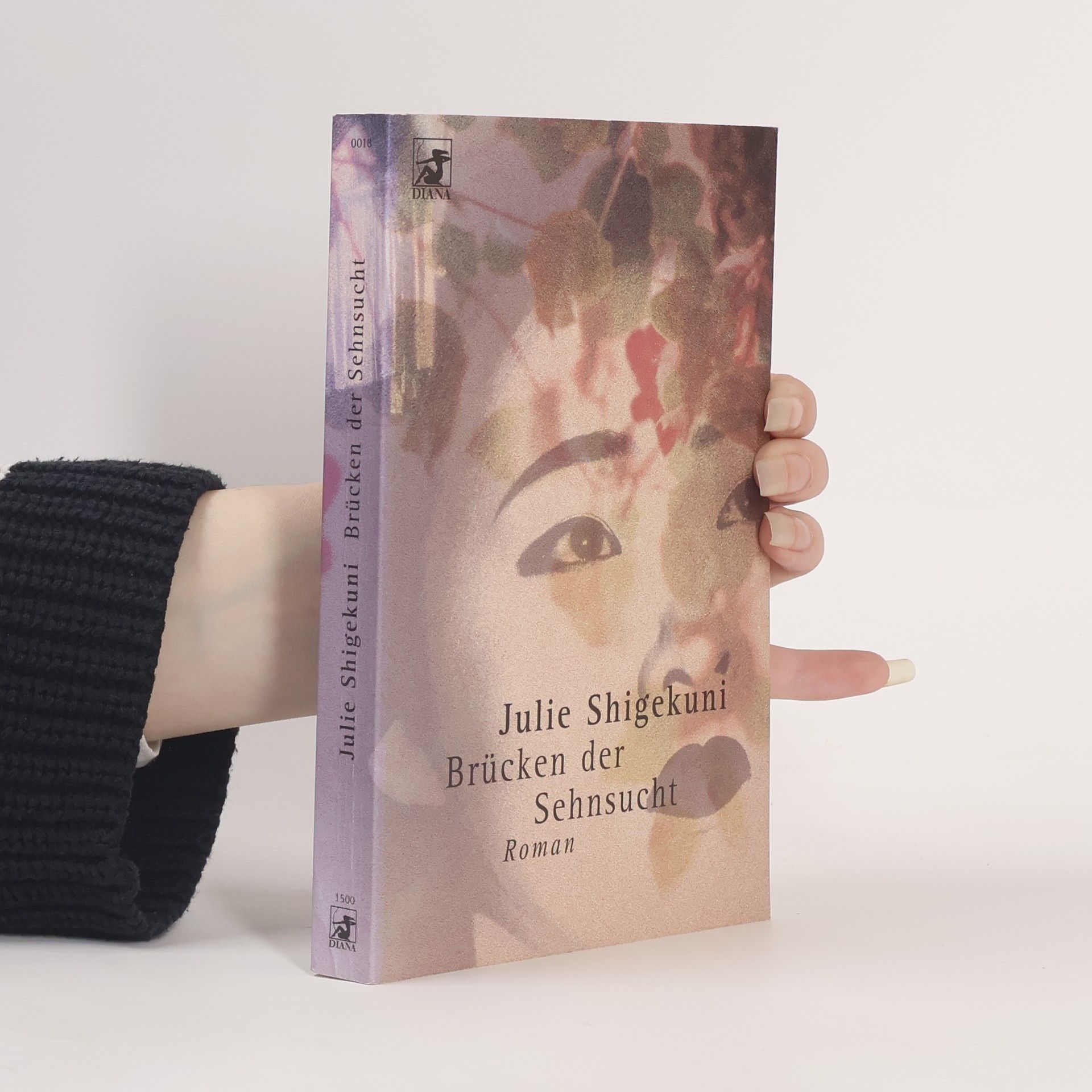 Julie Shigekuni Brücken der Sehnsucht