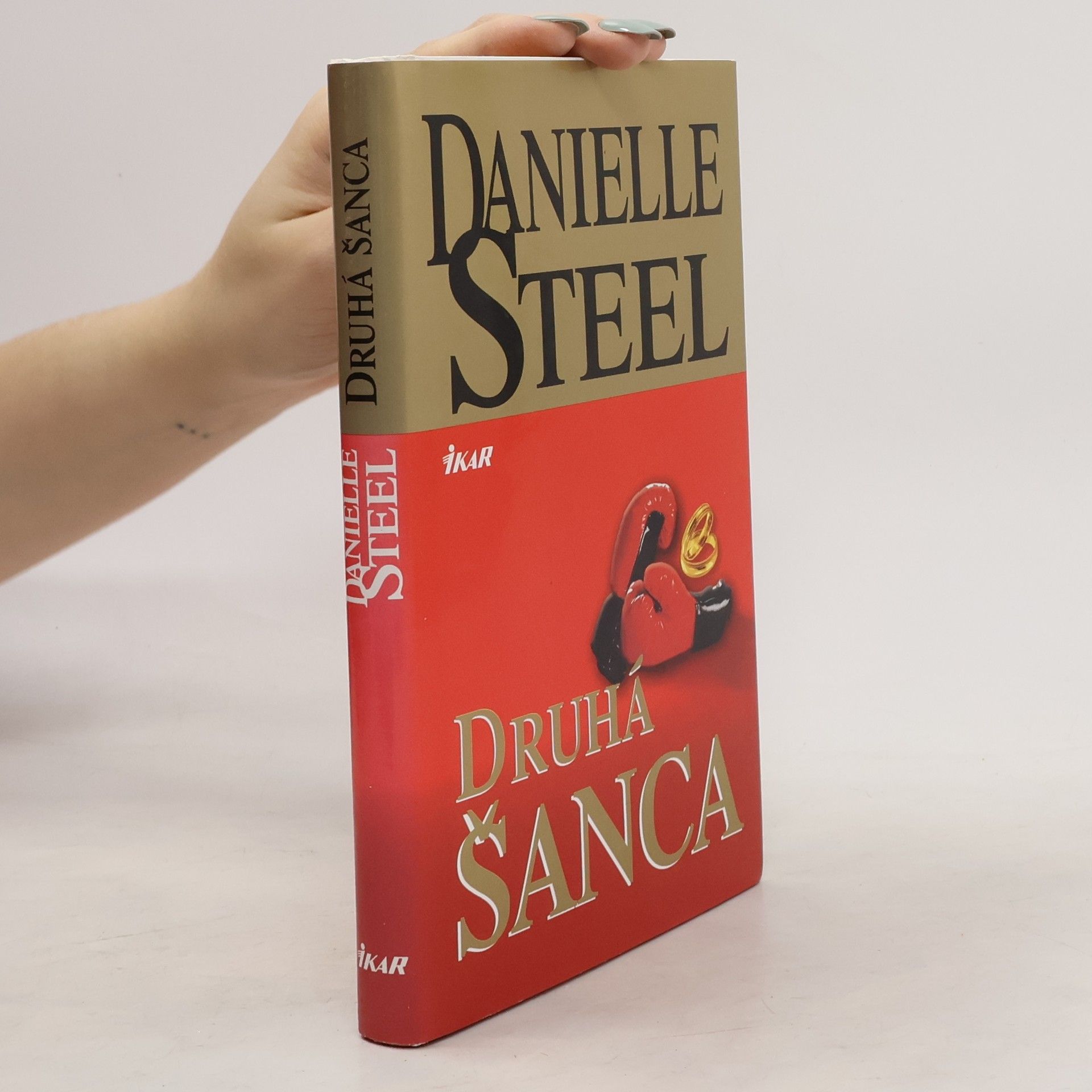 Danielle Steelová Druhá šanca