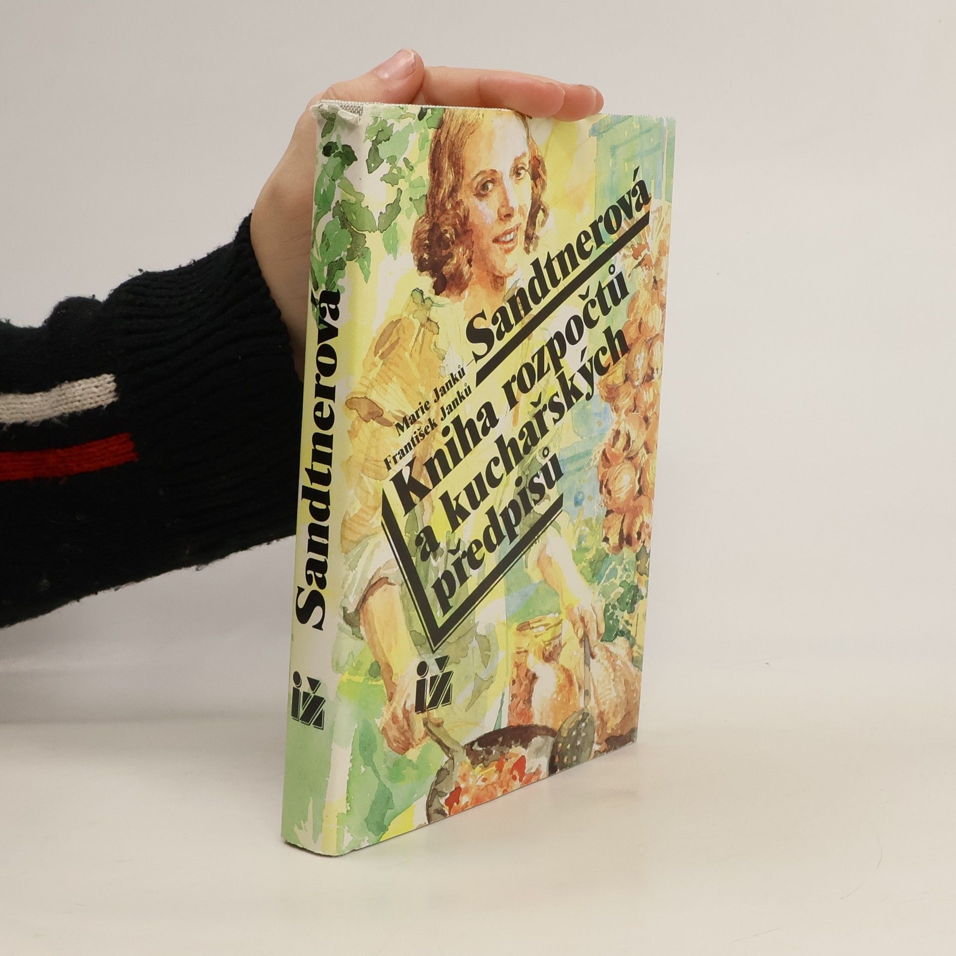 Kniha rozpočtů a kuchařských předpisů