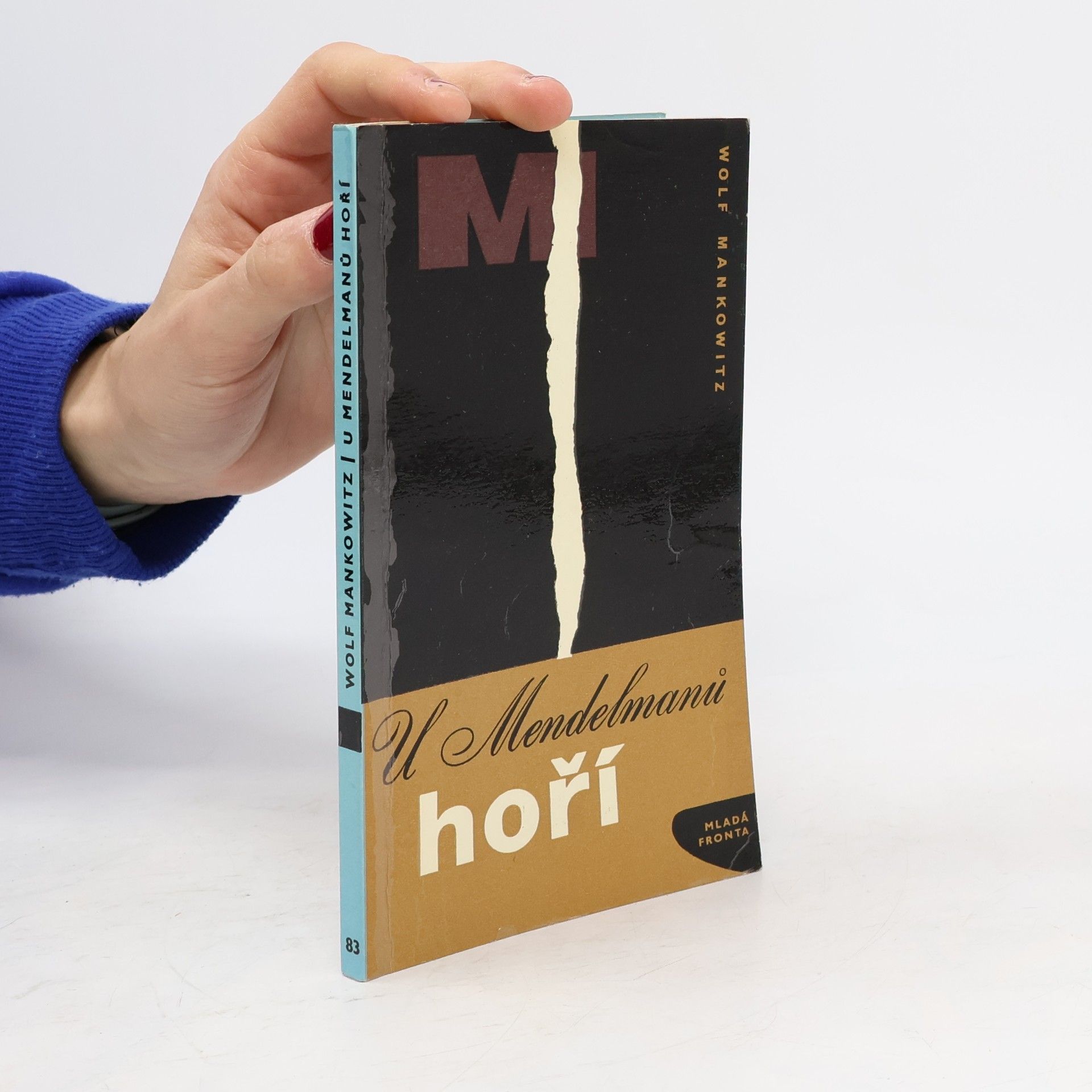 U Mendelmanů hoří