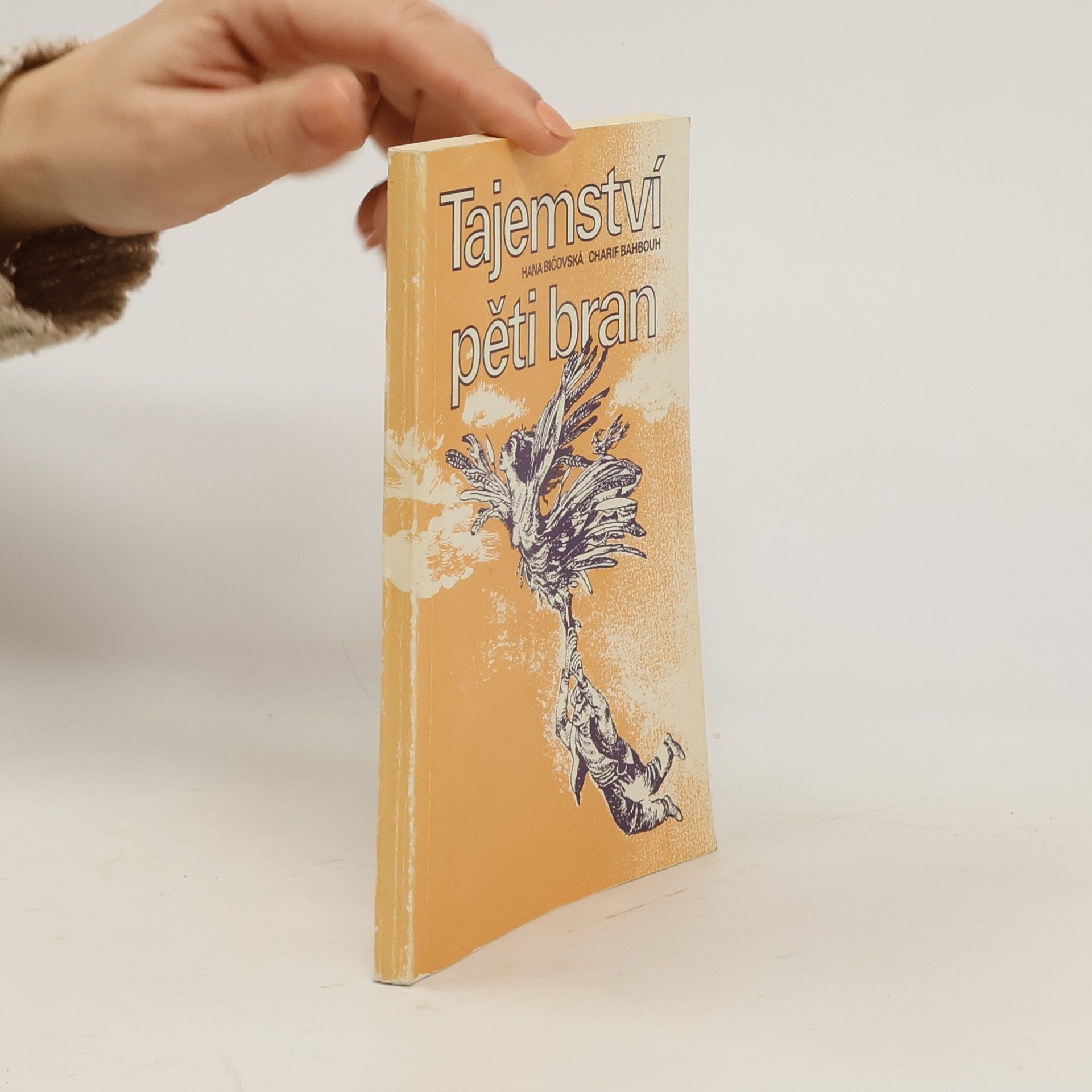 Hana Bičovská Tajemství pěti bran