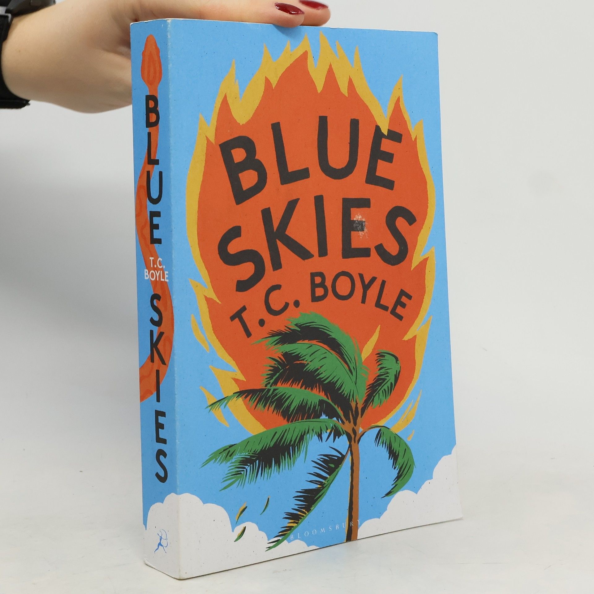 T. Coraghessan Boyle Blue Skies