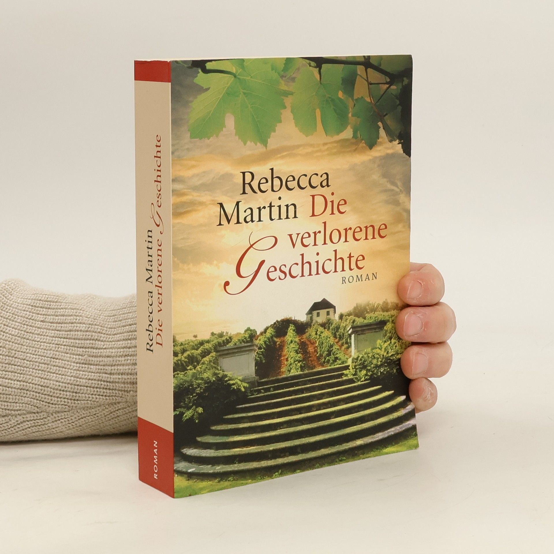 Rebecca Martin Die verlorene geschichte