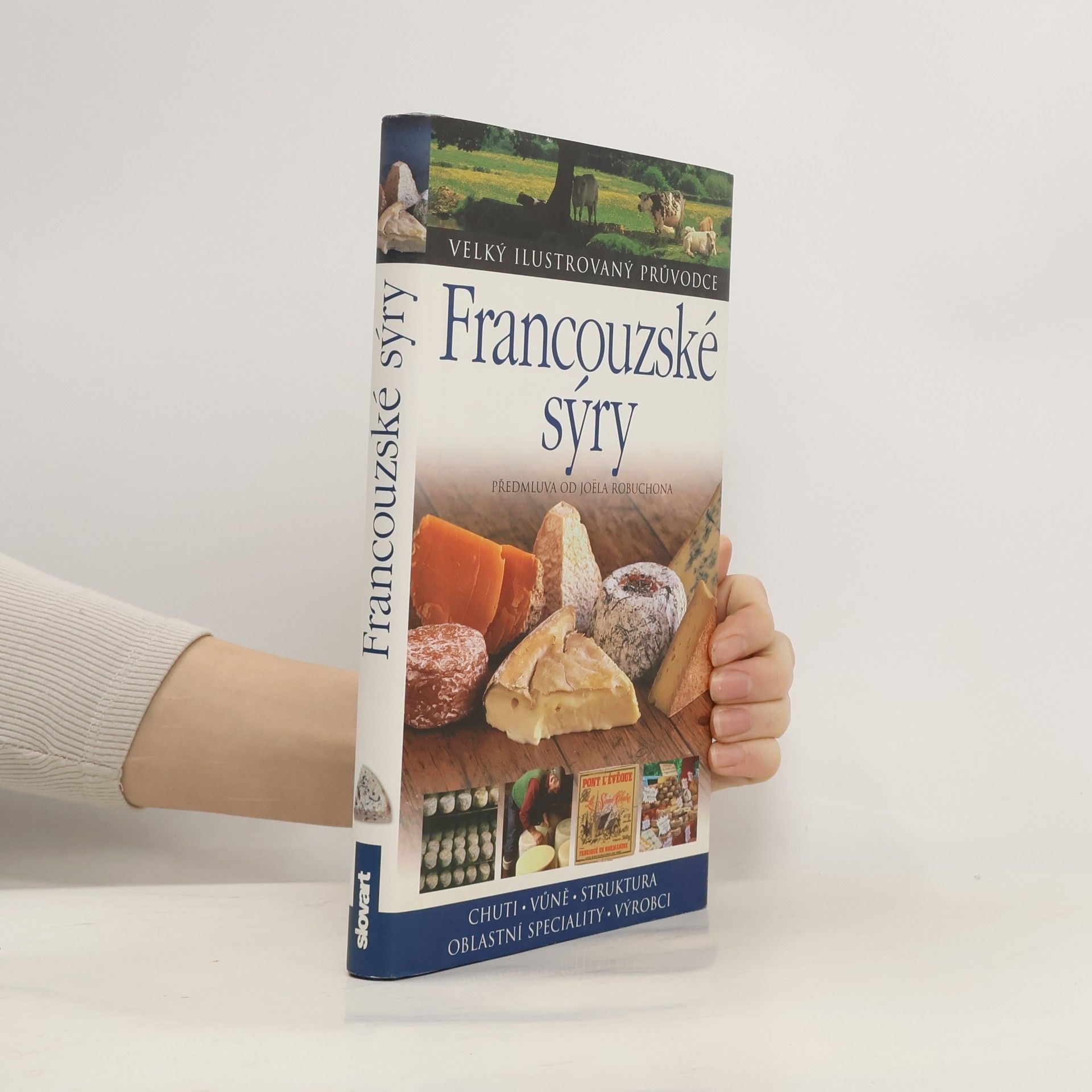 Kazuko Masui Francouzské sýry