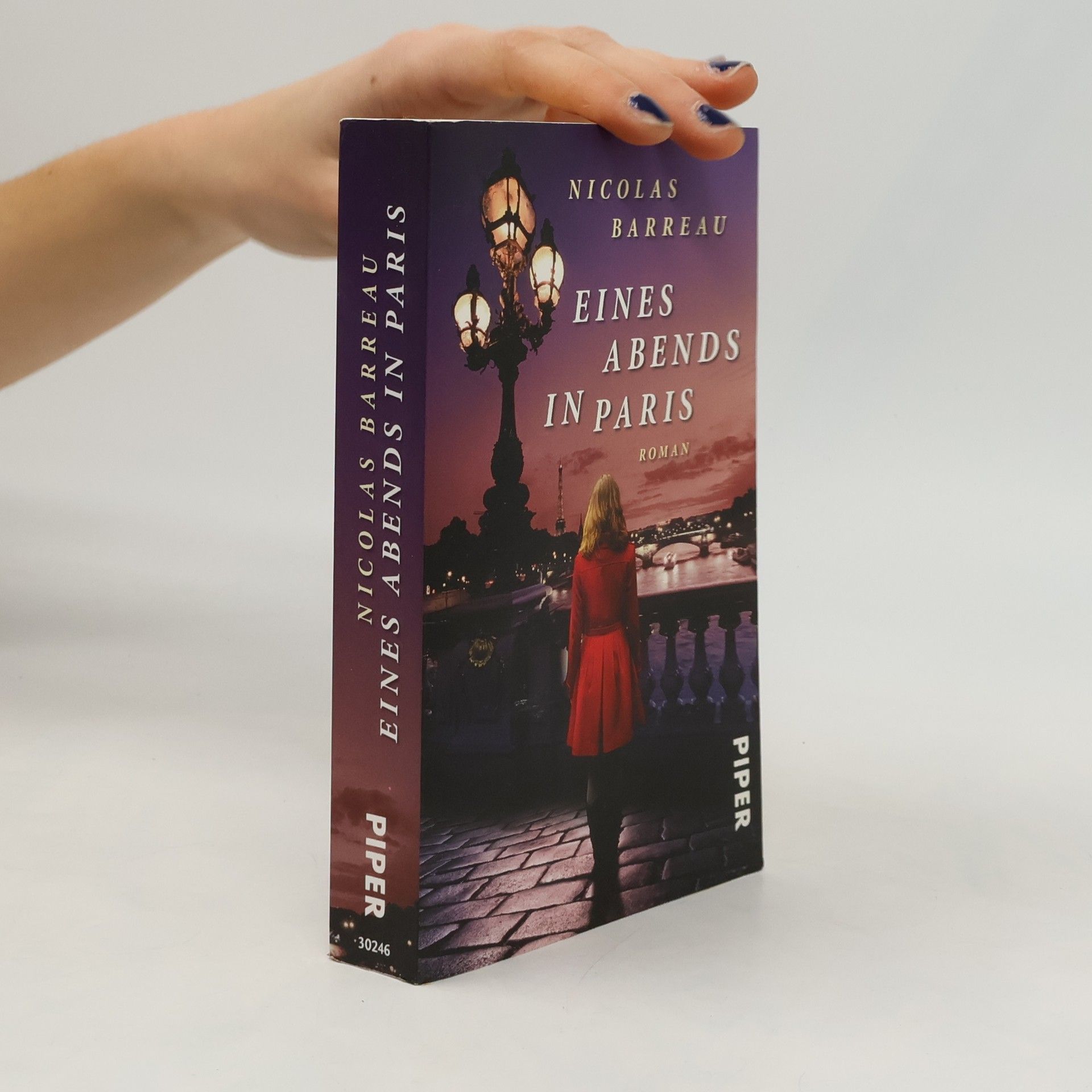 Nicolas Barreau Eines Abends in Paris