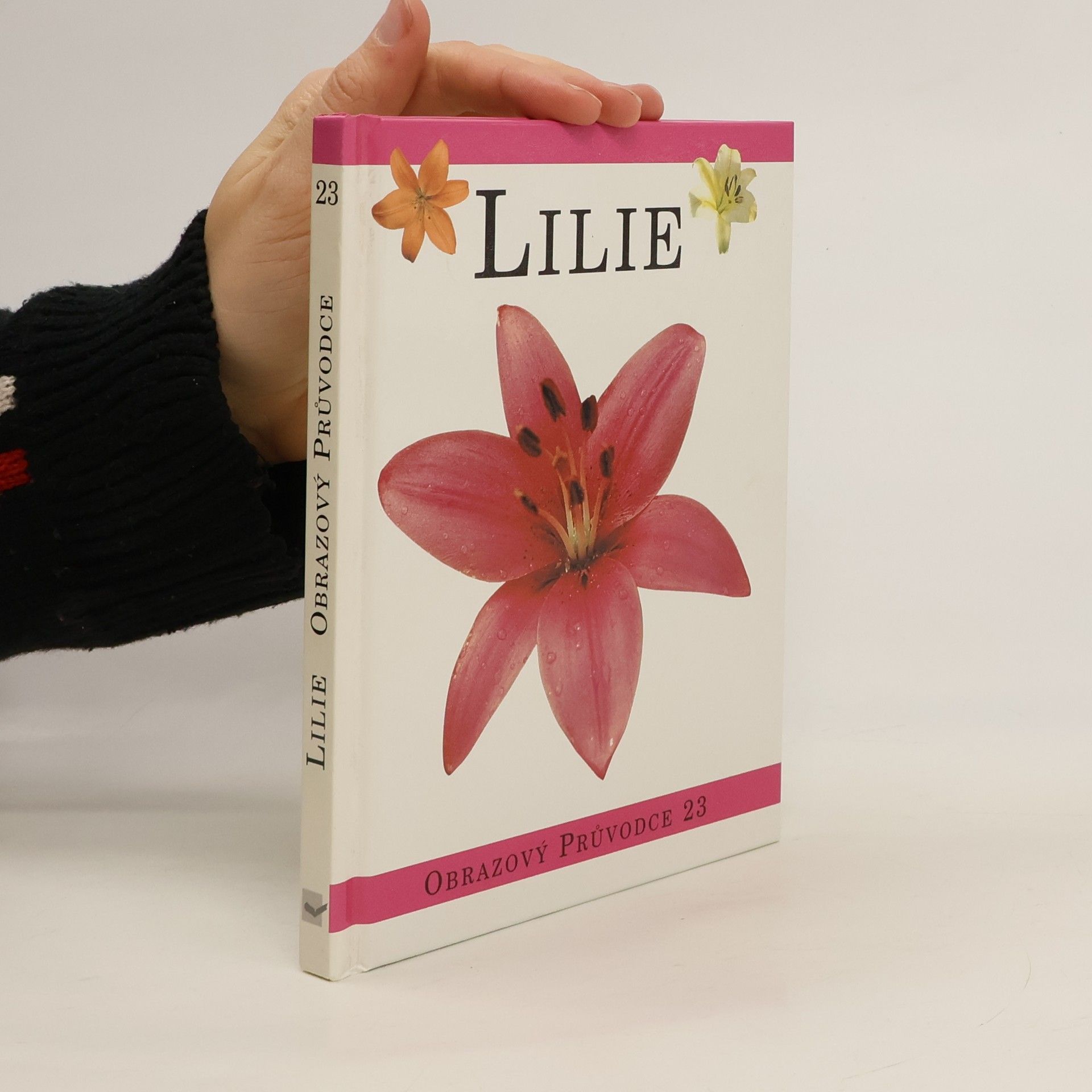 Collectif d'auteurs Lilie