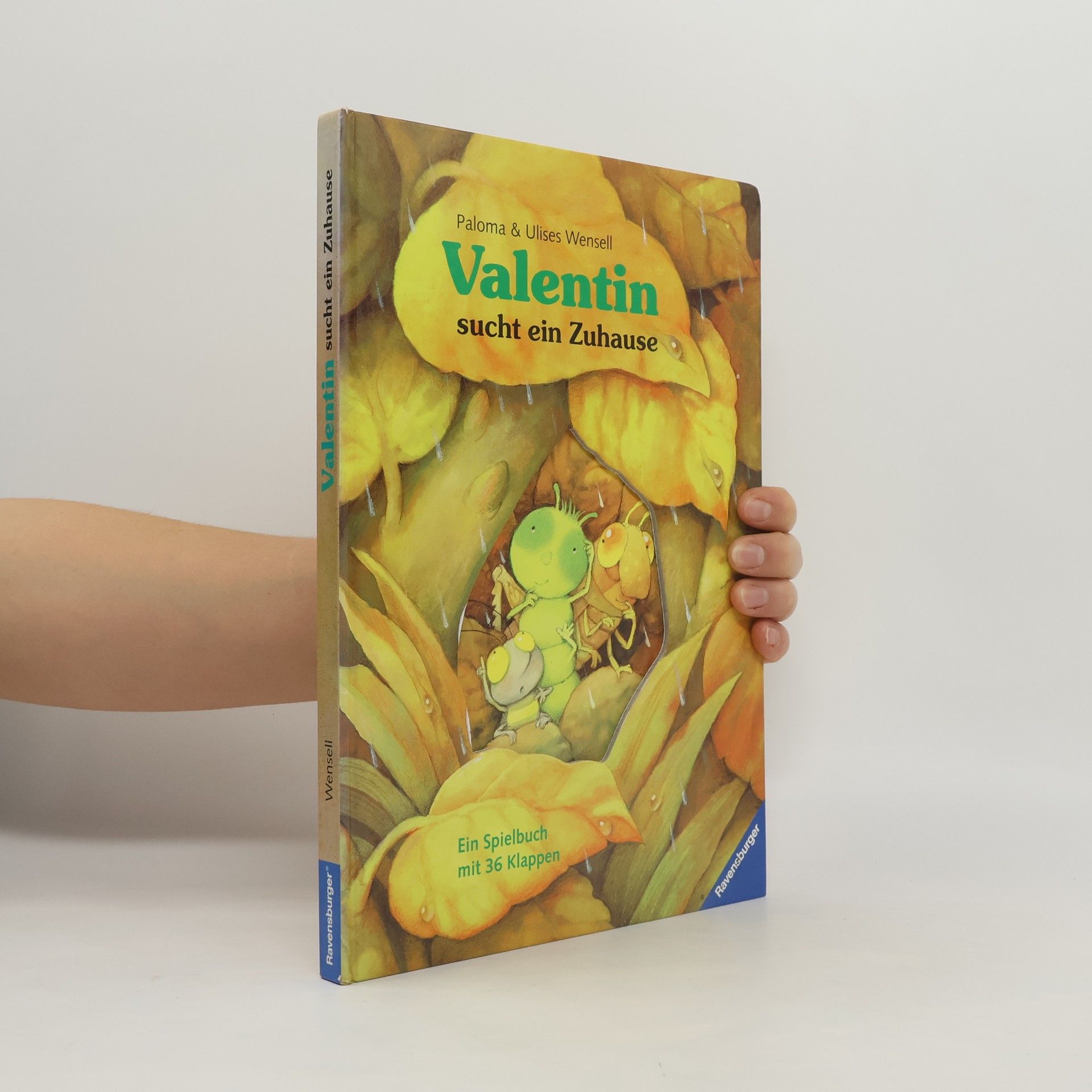 Valentin sucht ein Zuhause. Ein Spielbuch mit 36 Klappen