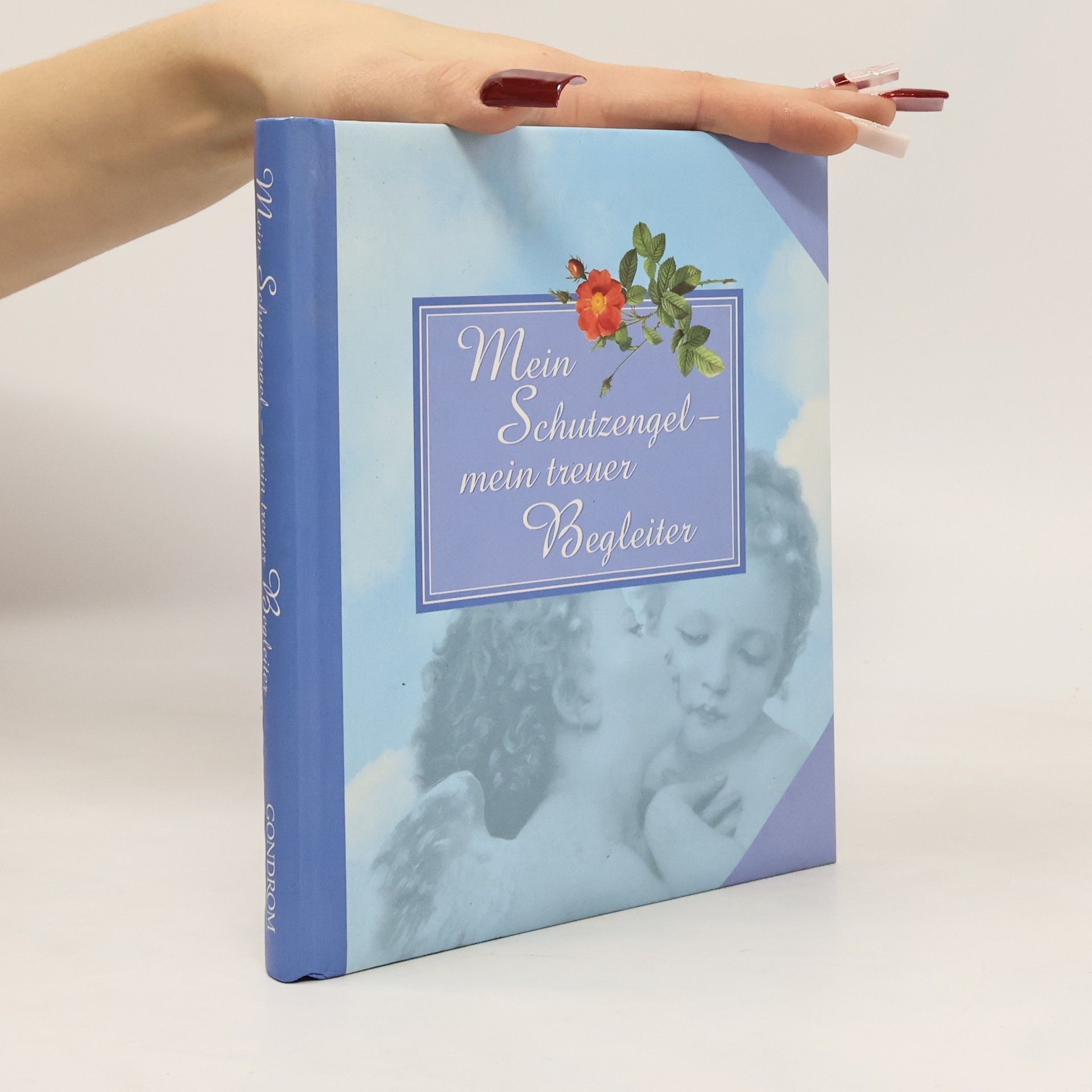 Mein Schutzengel - mein treuer Begleiter