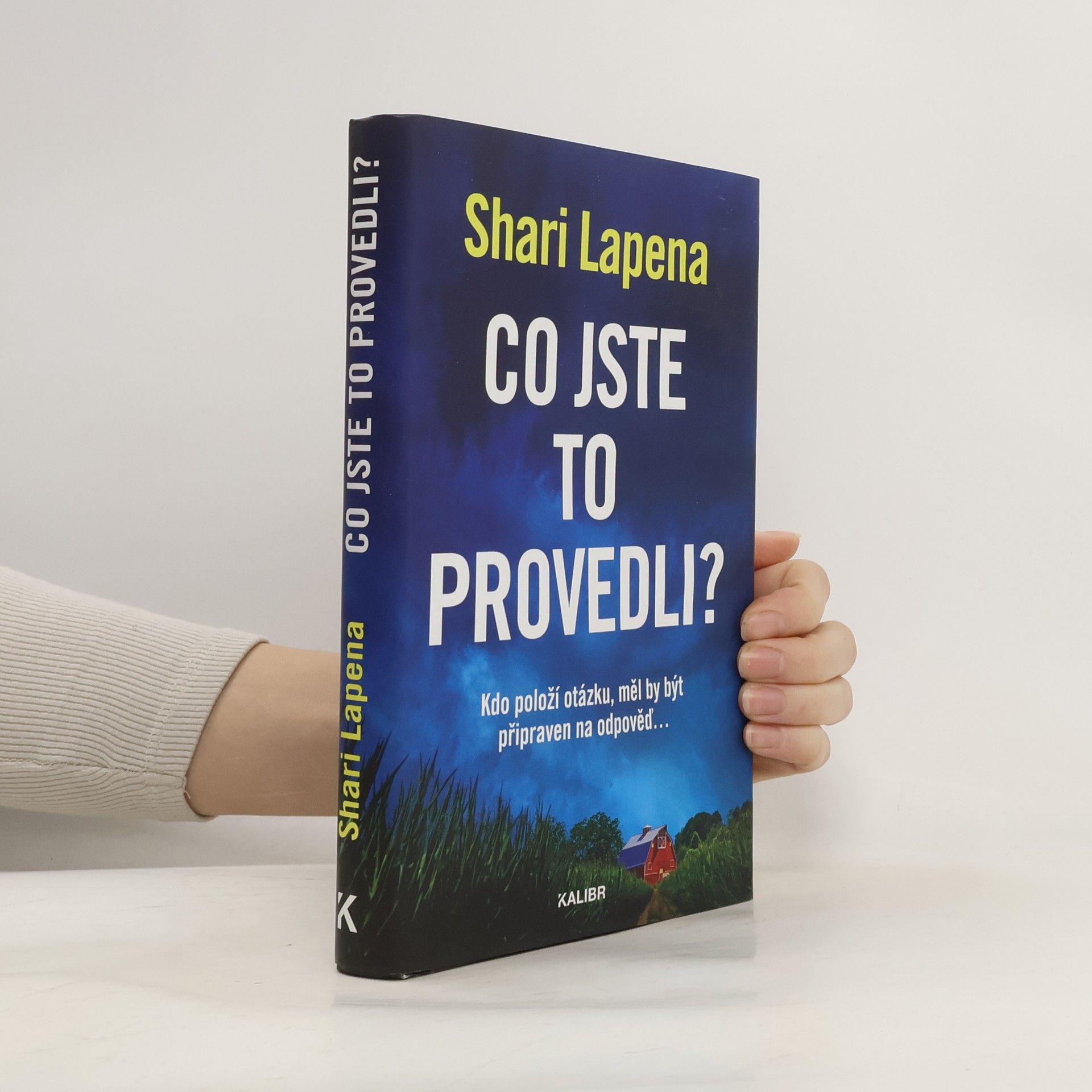 Shari Lapena Co jste to provedli?