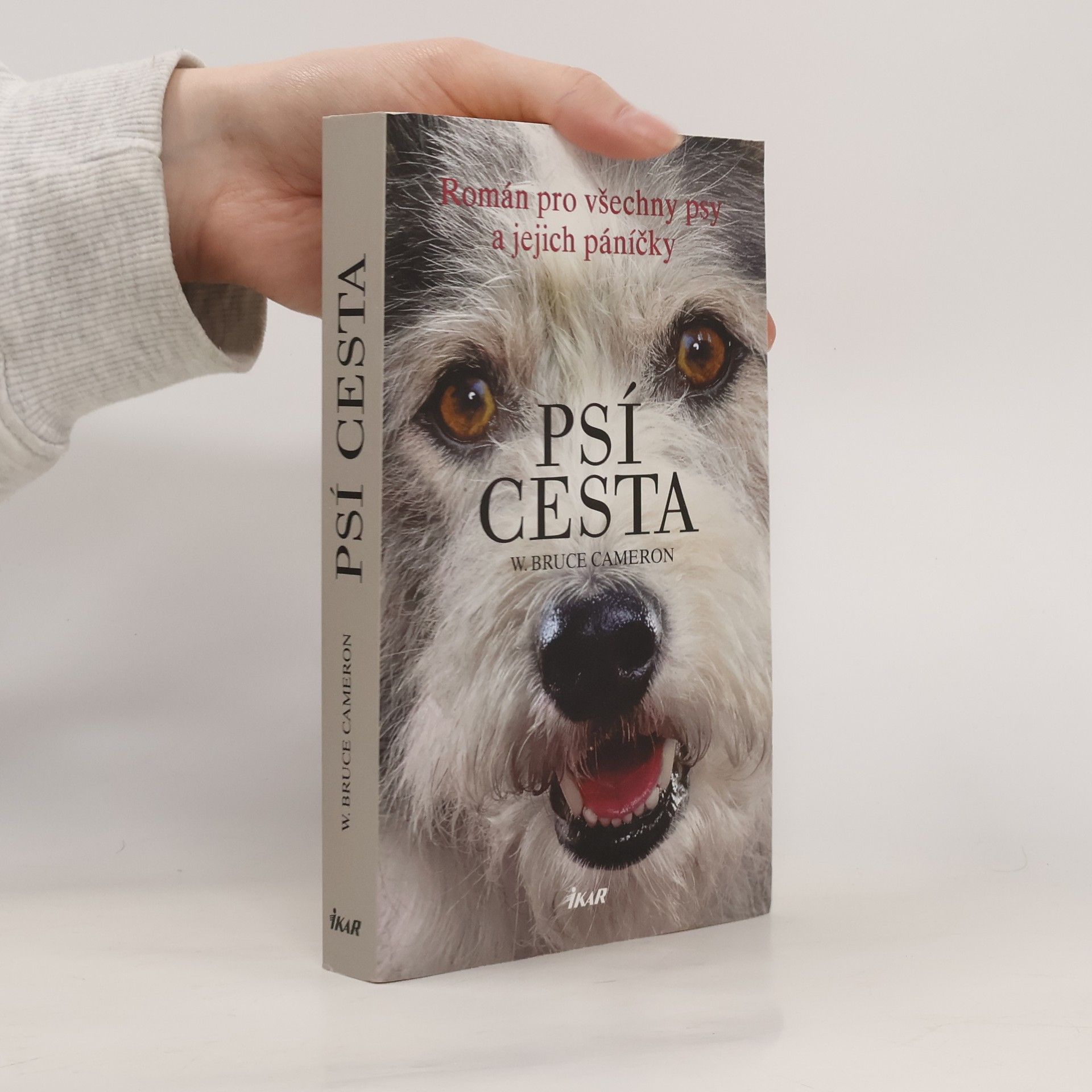 W. Bruce Cameron Psí cesta