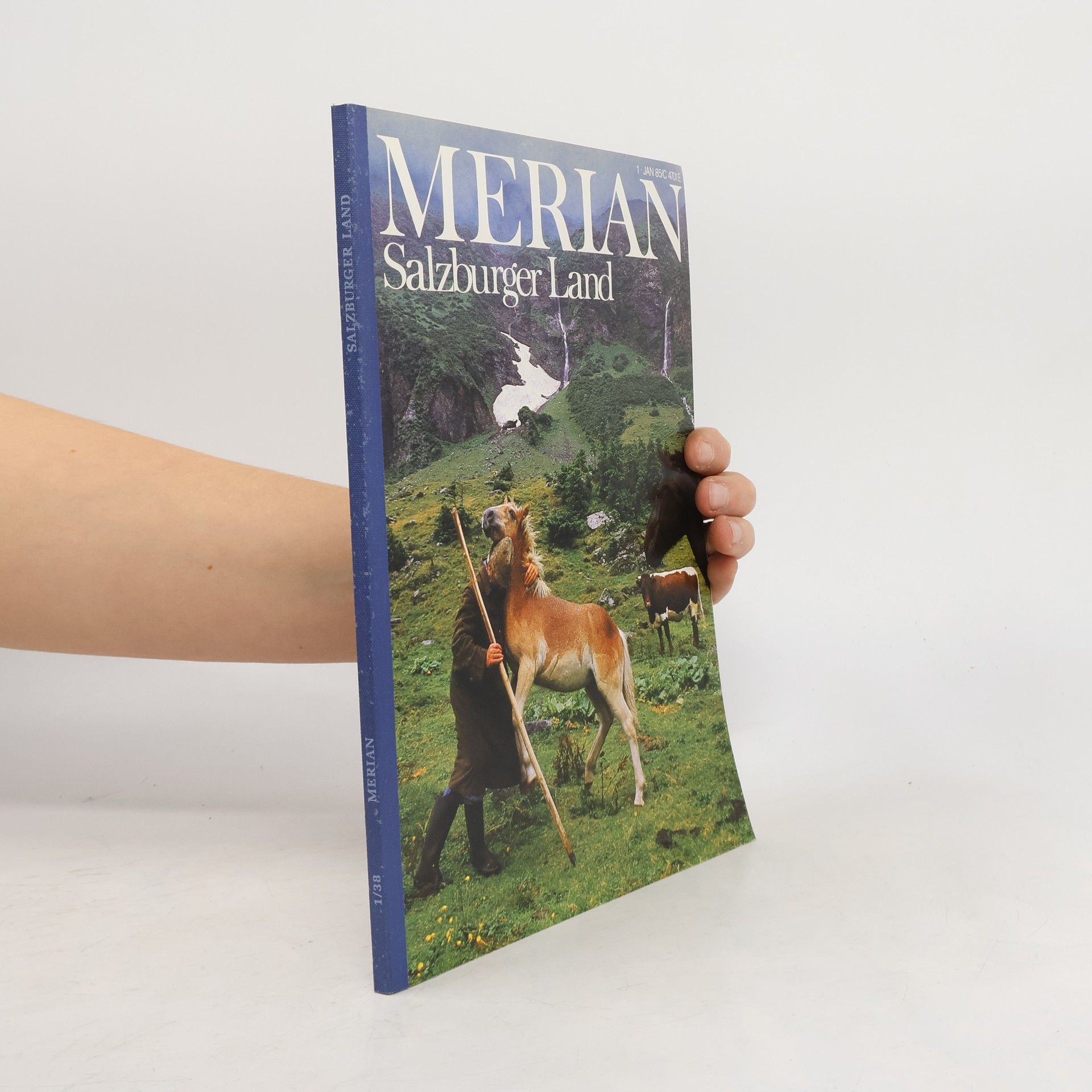 Collectif d'auteurs Salzburger Land