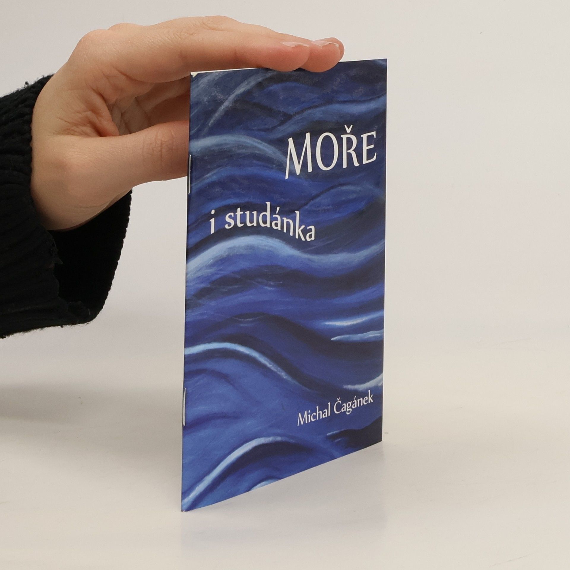 Michal Čagánek Moře i studánka