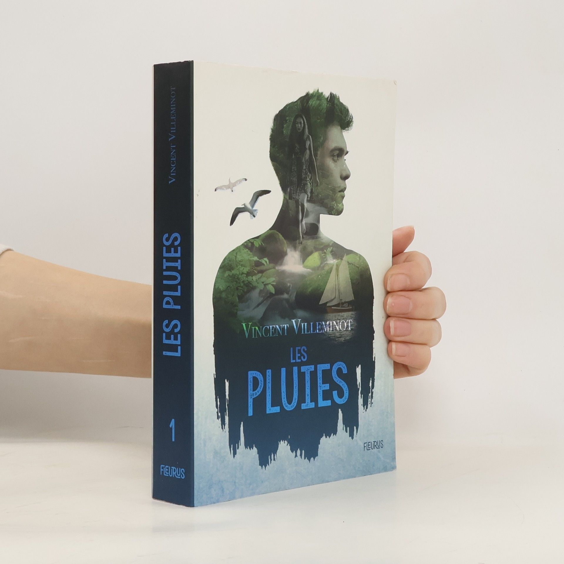 Vincent Villeminot Les pluies