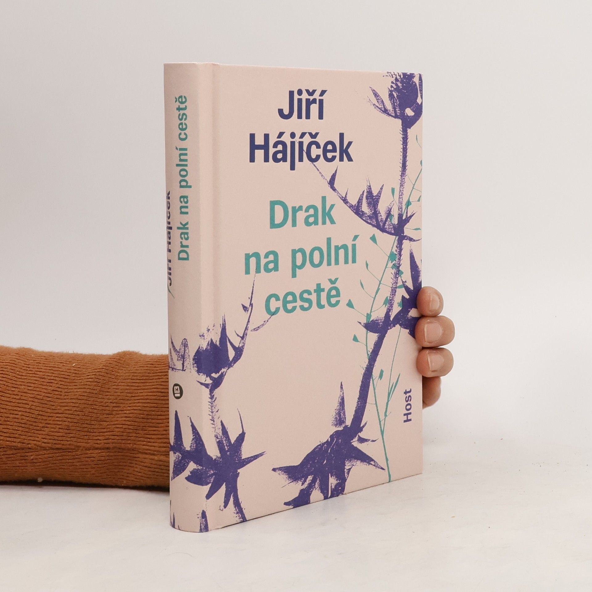 Jiří Hájíček Drak na polní cestě