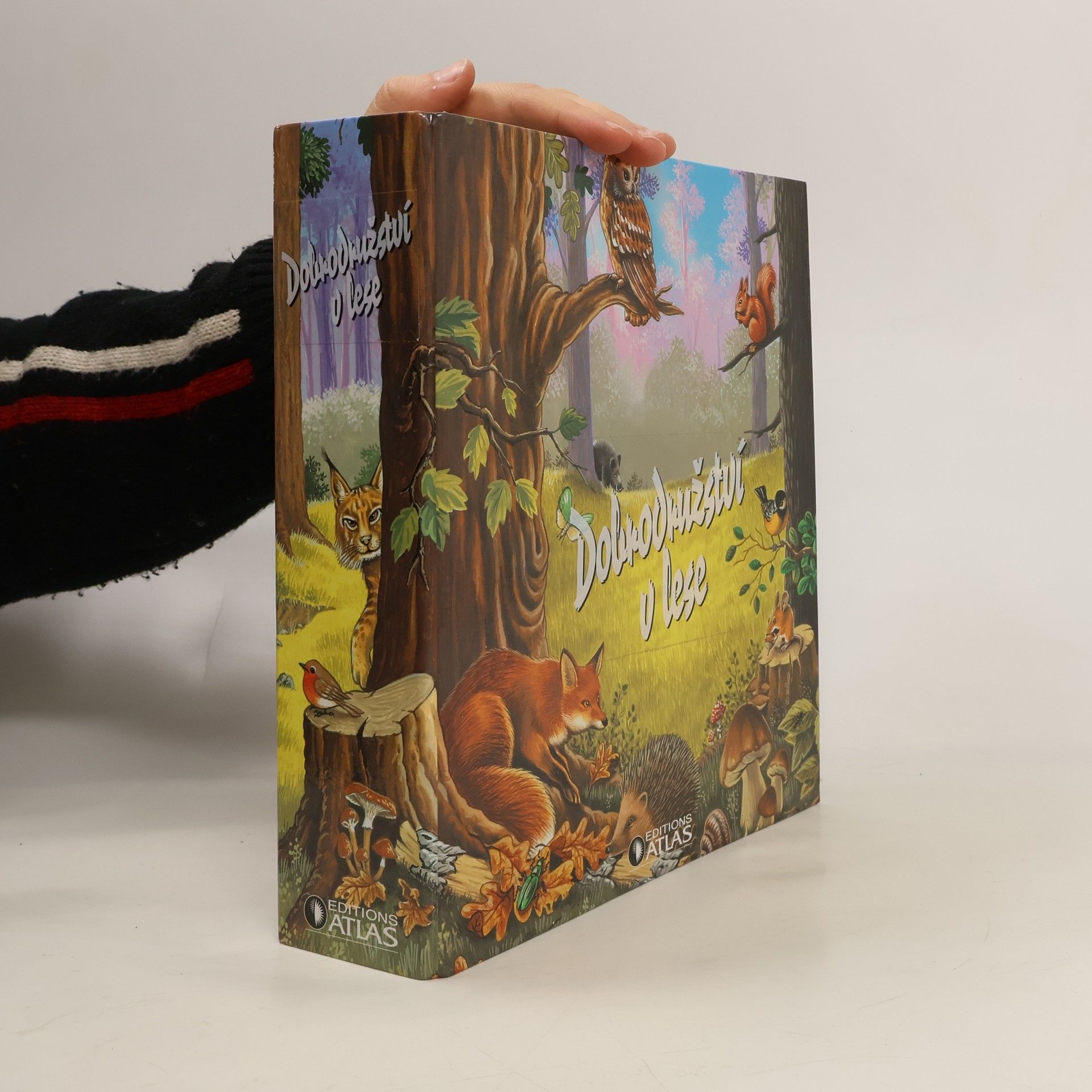 Autorenkollektiv Dobrodružství v lese