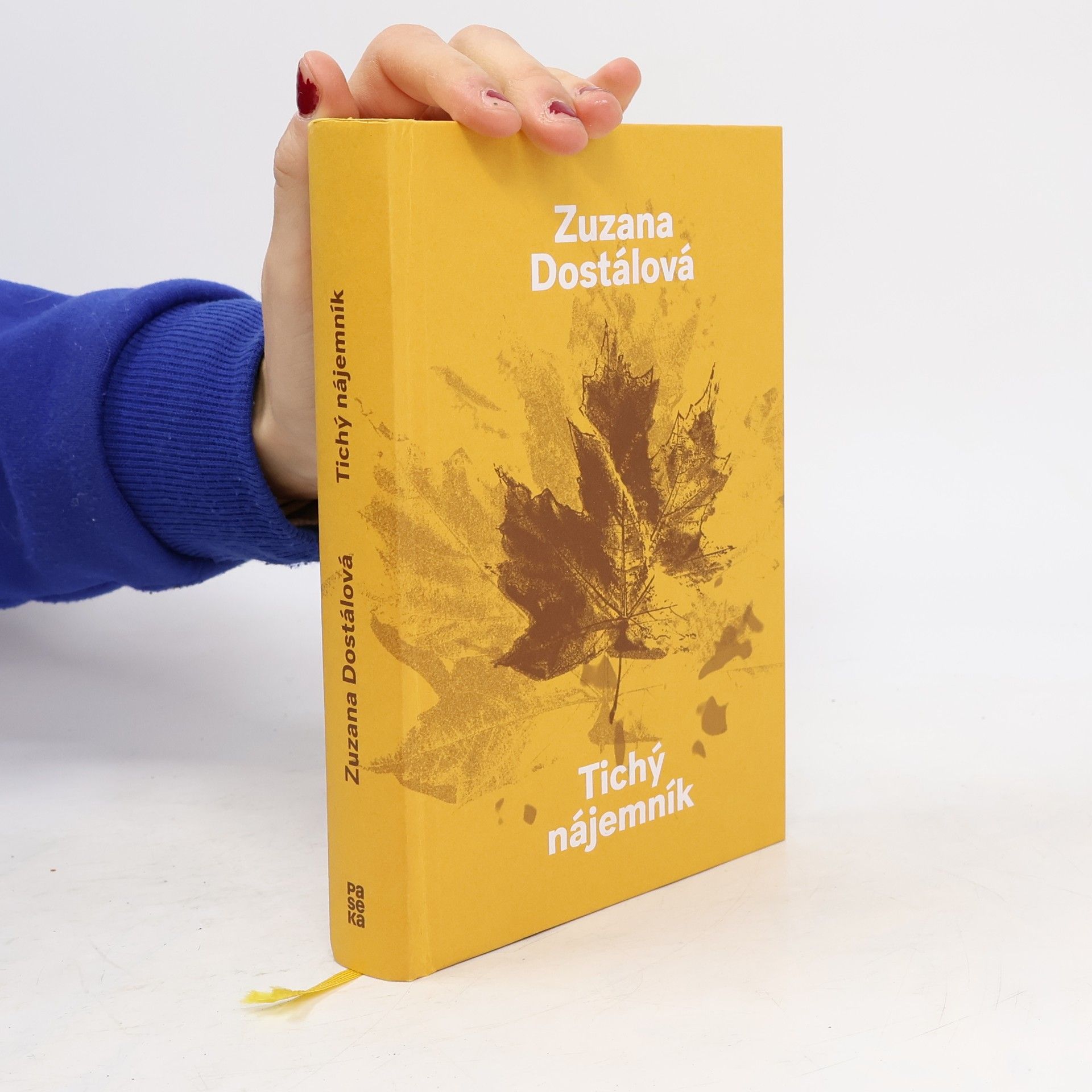 Zuzana Dostálová Tichý nájemník