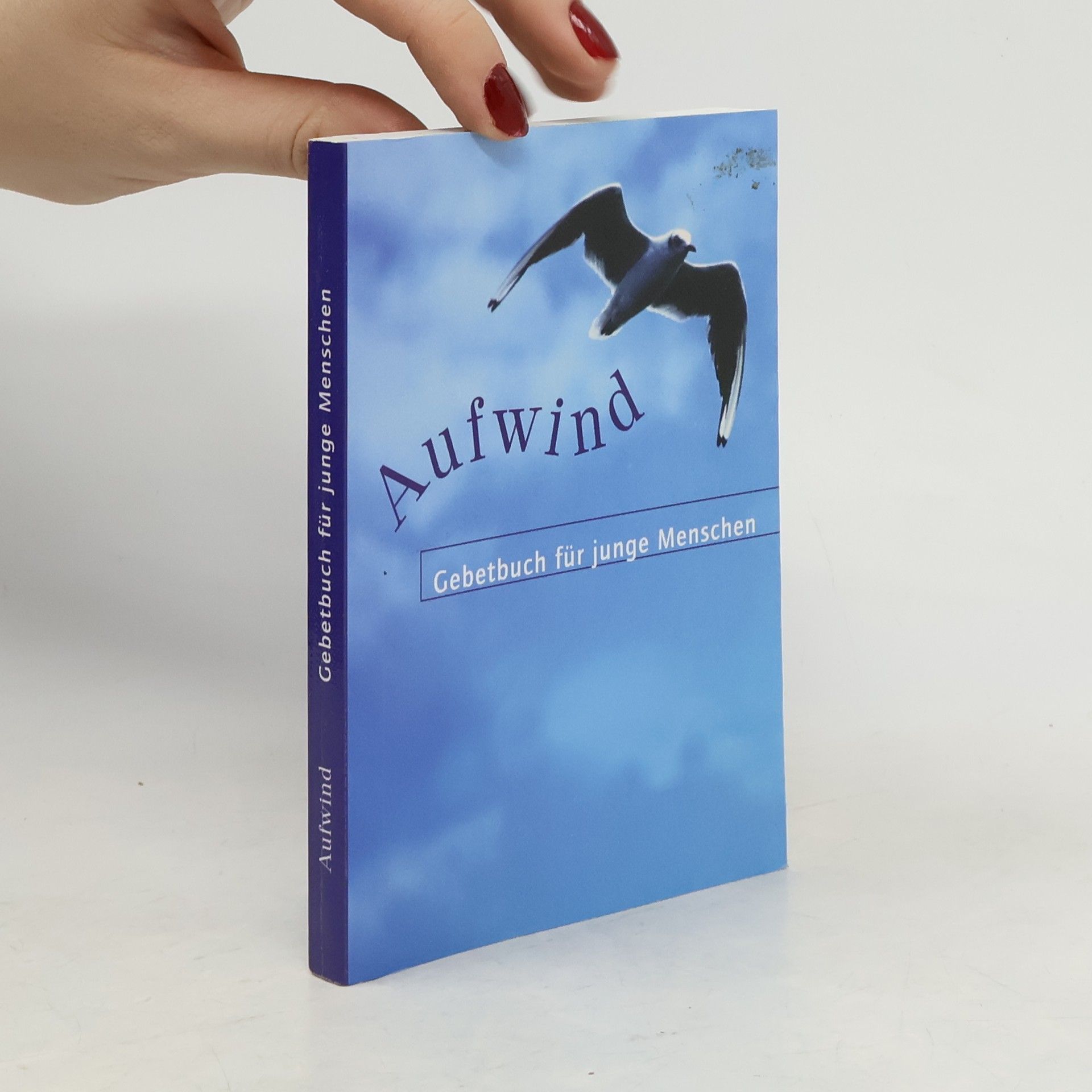 Collectif d'auteurs Aufwind. Gebetbuch für junge Menschen