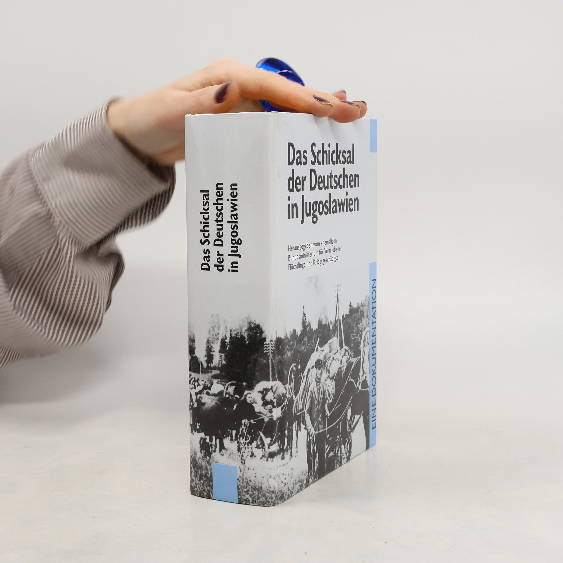 Auteurscollectief Das Schicksal der Deutschen in Jugoslawien