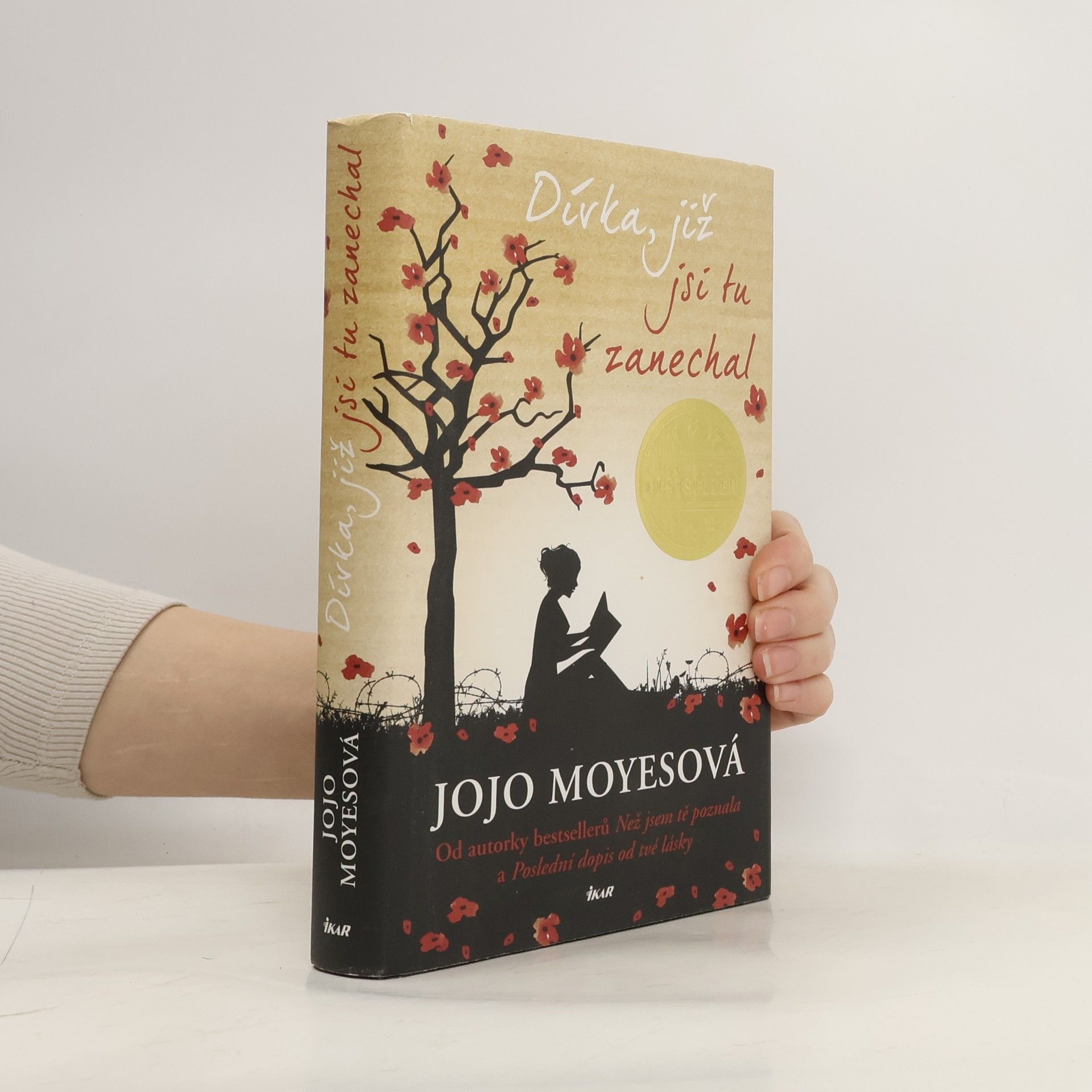 Dívka, již jsi tu zanechal