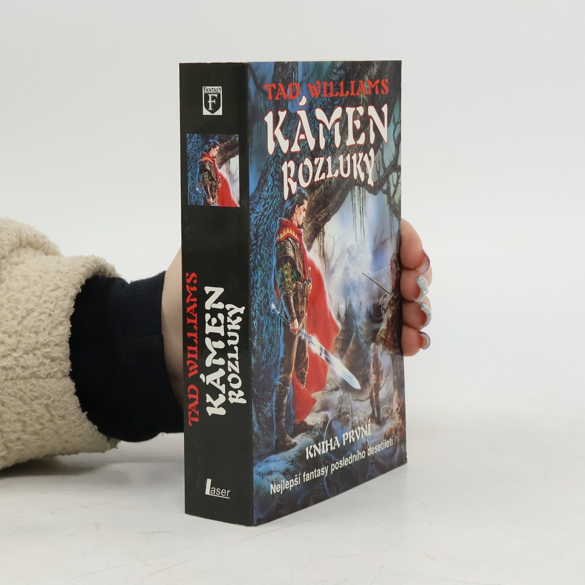 Tad Williams Kámen rozluky. Kniha první.