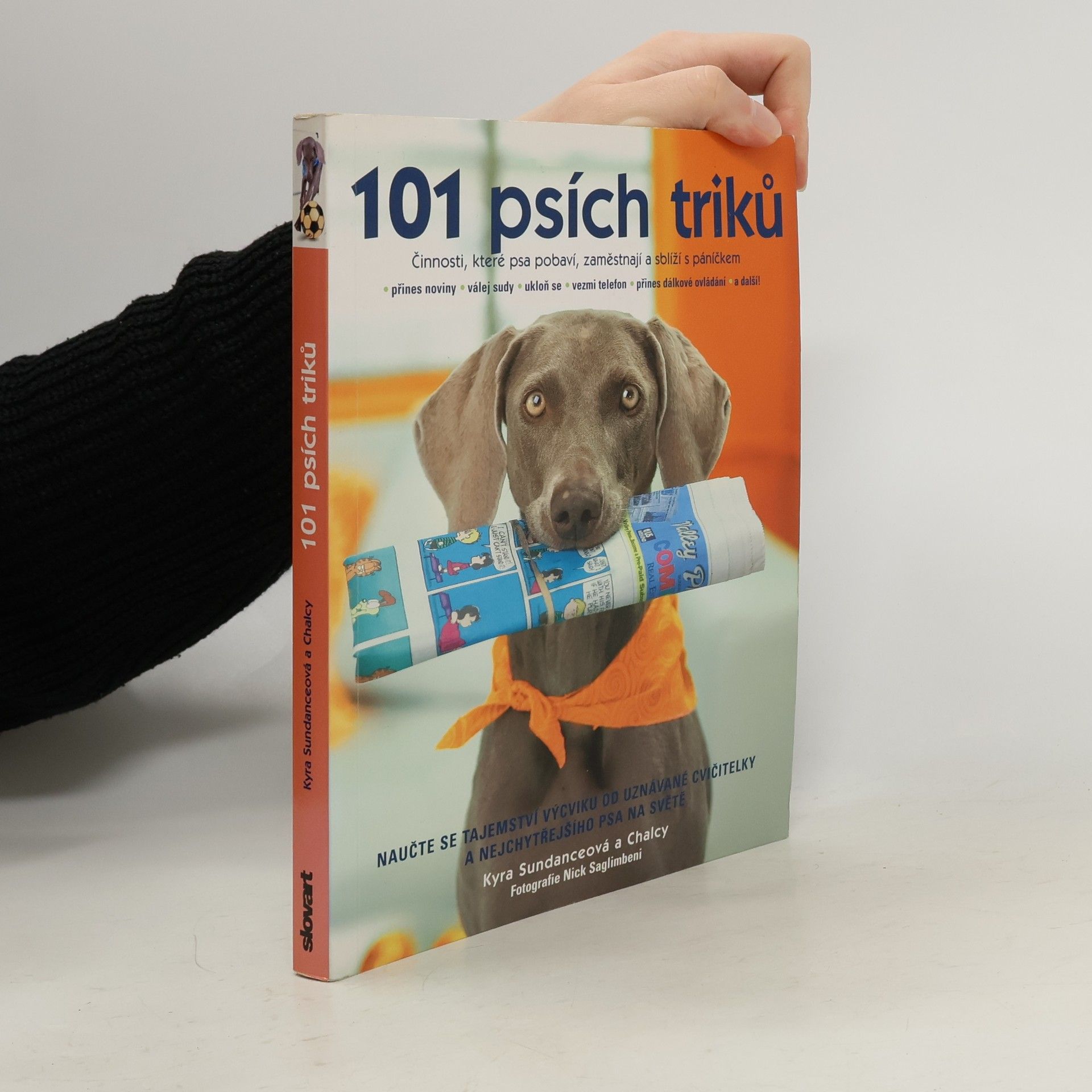 Kyra Sundance 101 psích triků : činnosti, které psa pobaví, zaměstnají a sblíží s páníčkem - krok za krokem
